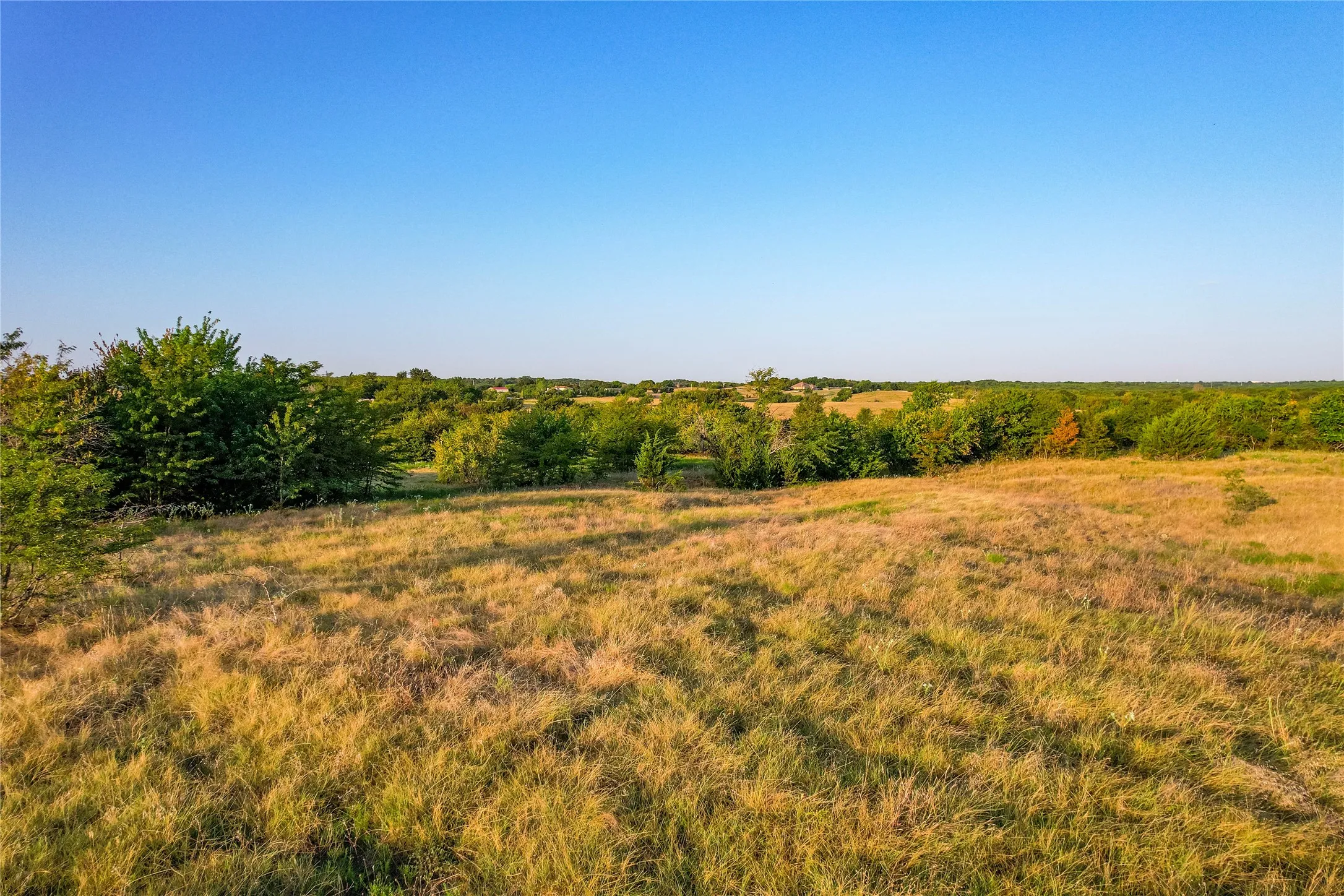 Expansive open land with natural ground cover and scattered mature trees
