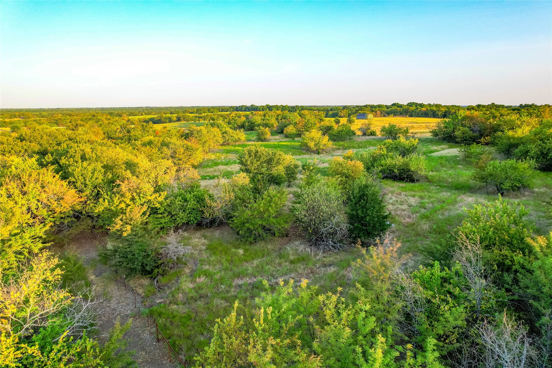 Unimproved Land For Sale in Collin County , TBD CR 613, Farmersville, Texas 75442, 0, 0, Garage spaces, 0 Sqft, built in 0, mls#21365228, Real Estate Agent in Farmersville, Homes For Sale in Collin county, Homes For Sale in Farmersville, Realtor in Farmersville Texas, Real Estate Brokerage Independent Realty Texas, Luminita Cordes Realtor