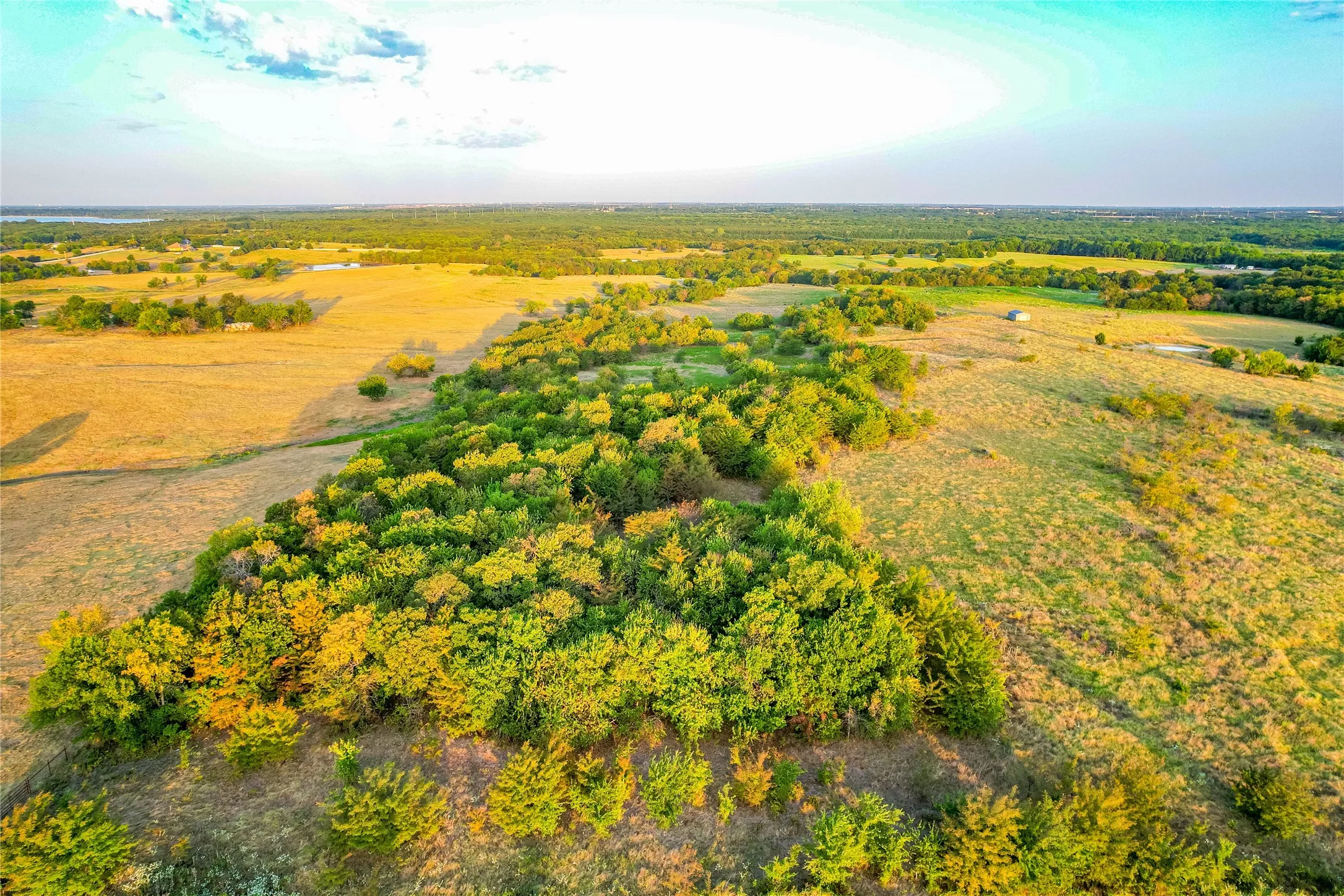 Expansive open land featuring diverse foliage and distant water body