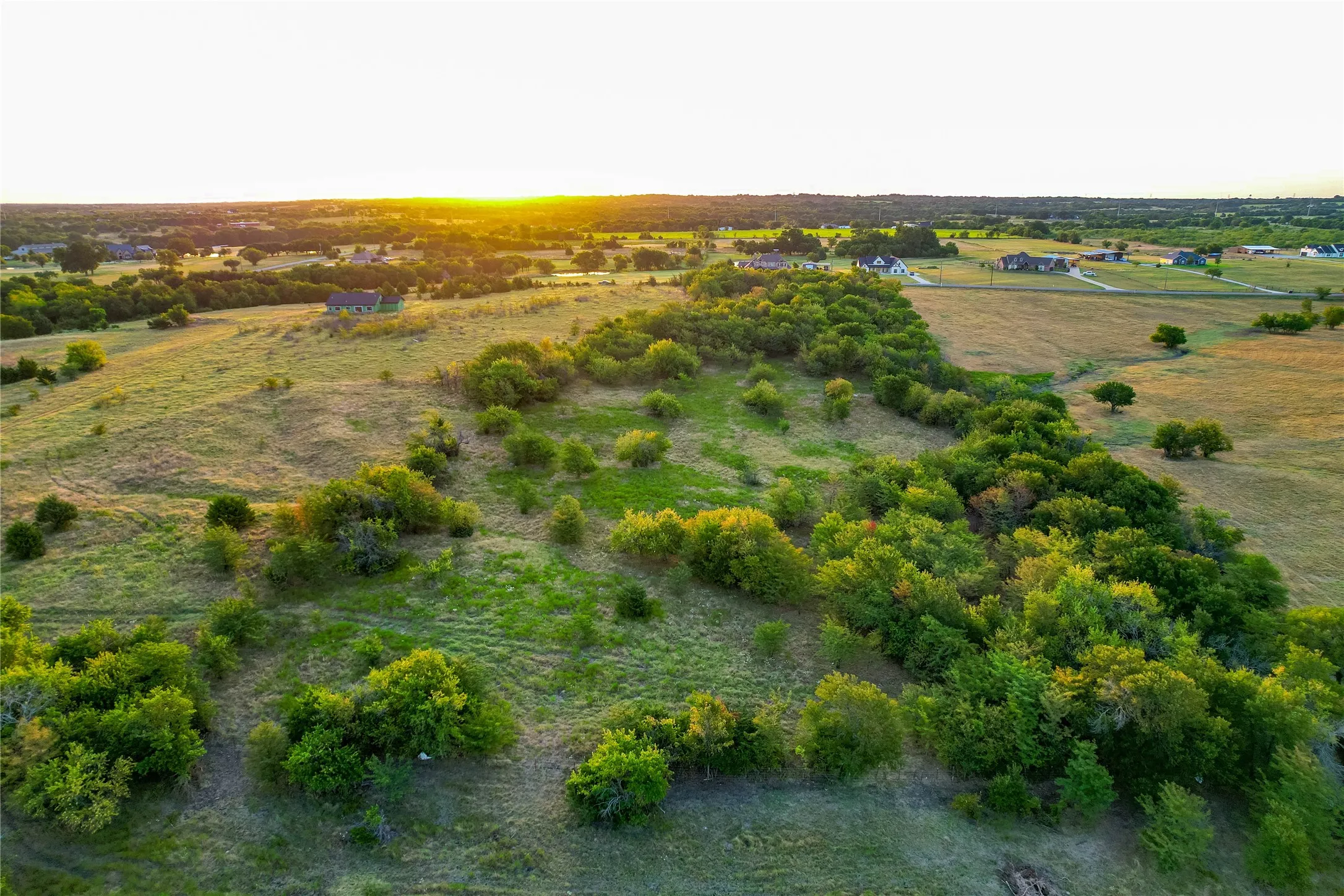 Expansive open land featuring diverse foliage and a distant residential background