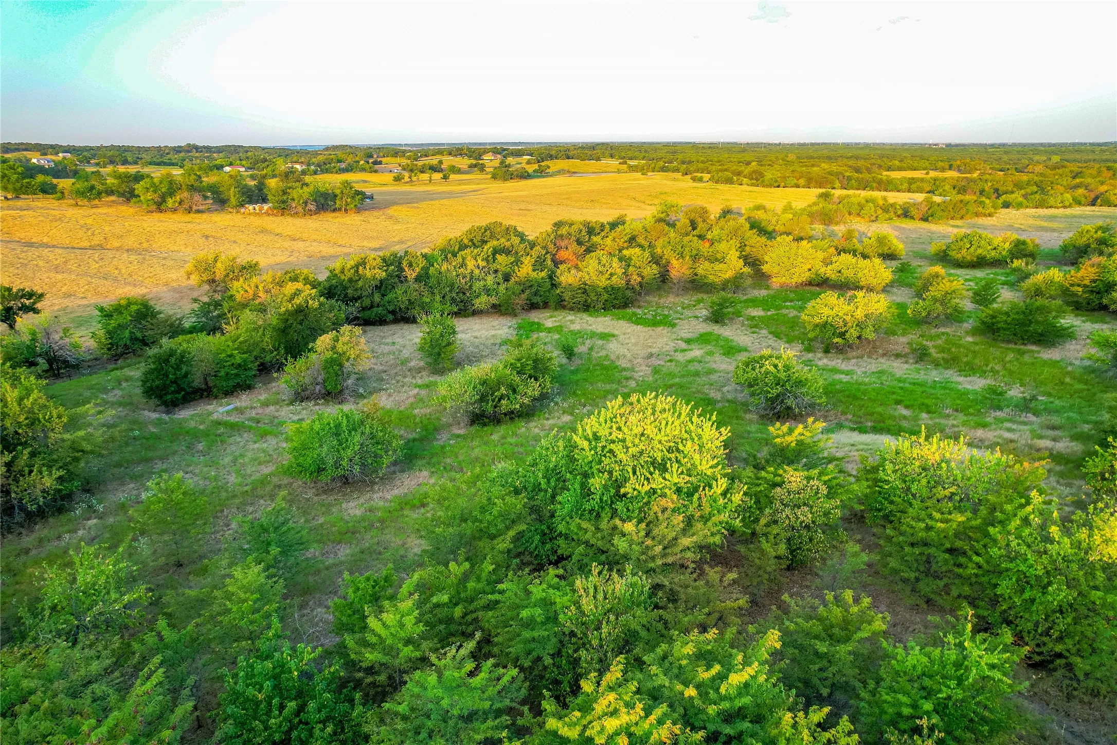 Expansive land featuring diverse foliage and open fields