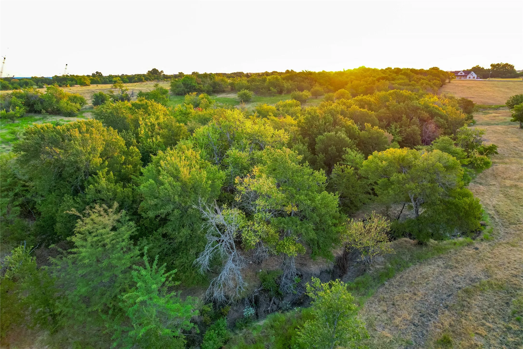 Unimproved Land For Sale in Collin County , TBD CR 613, Farmersville, Texas 75442, 0, 0, Garage spaces, 0 Sqft, built in 0, mls#21365228, Real Estate Agent in Farmersville, Homes For Sale in Collin county, Homes For Sale in Farmersville, Realtor in Farmersville Texas, Real Estate Brokerage Independent Realty Texas, Luminita Cordes Realtor