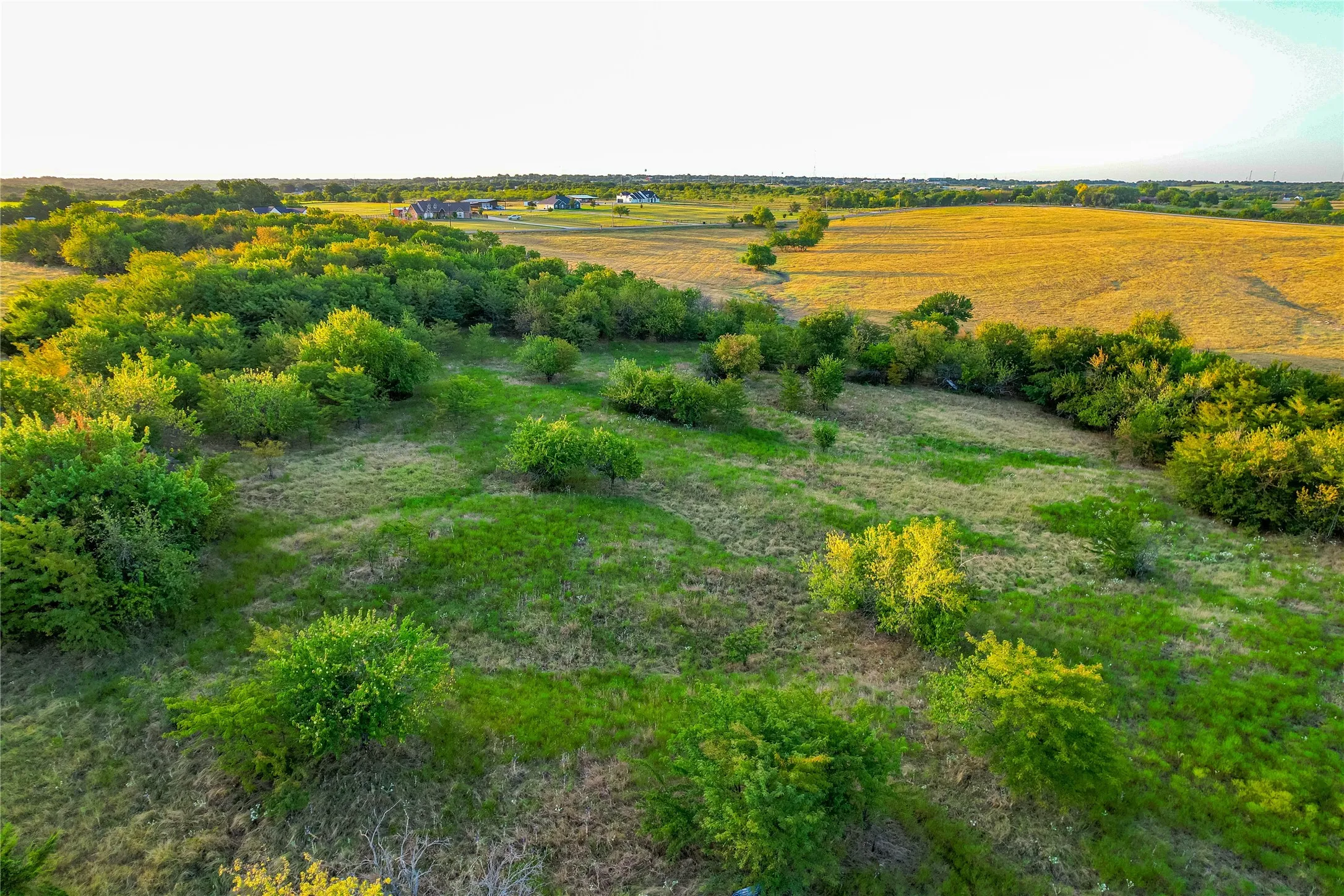 Expansive open land featuring diverse vegetation, including grassy areas and mature trees, bordered by a cultivated field