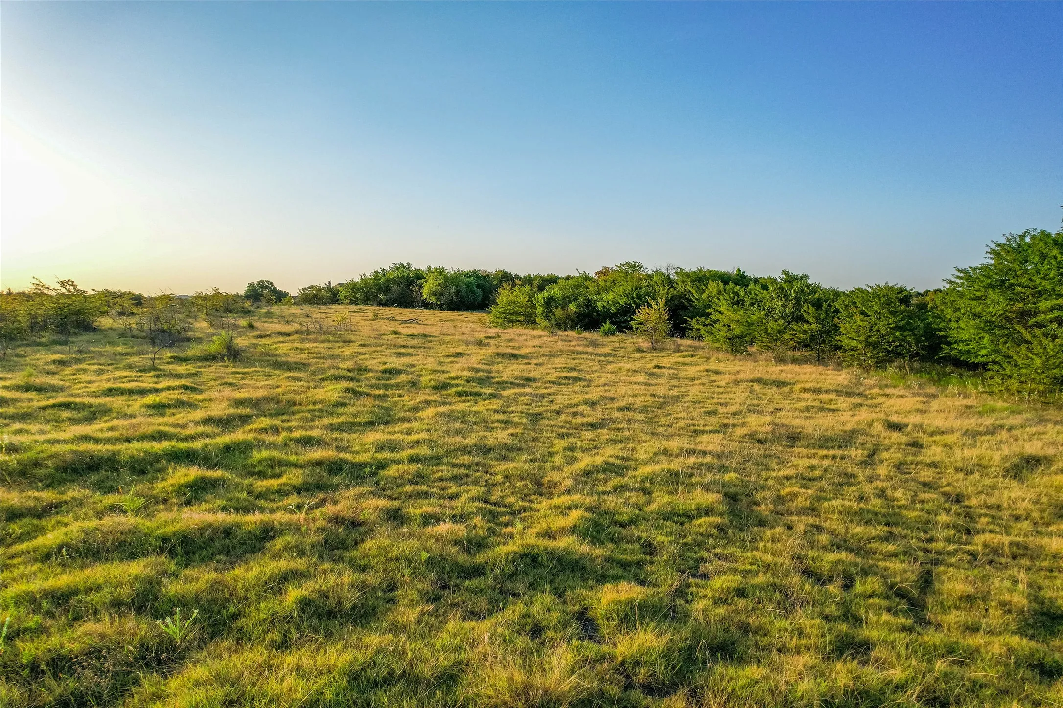 Unimproved Land For Sale in Collin County , TBD CR 613, Farmersville, Texas 75442, 0, 0, Garage spaces, 0 Sqft, built in 0, mls#21365228, Real Estate Agent in Farmersville, Homes For Sale in Collin county, Homes For Sale in Farmersville, Realtor in Farmersville Texas, Real Estate Brokerage Independent Realty Texas, Luminita Cordes Realtor
