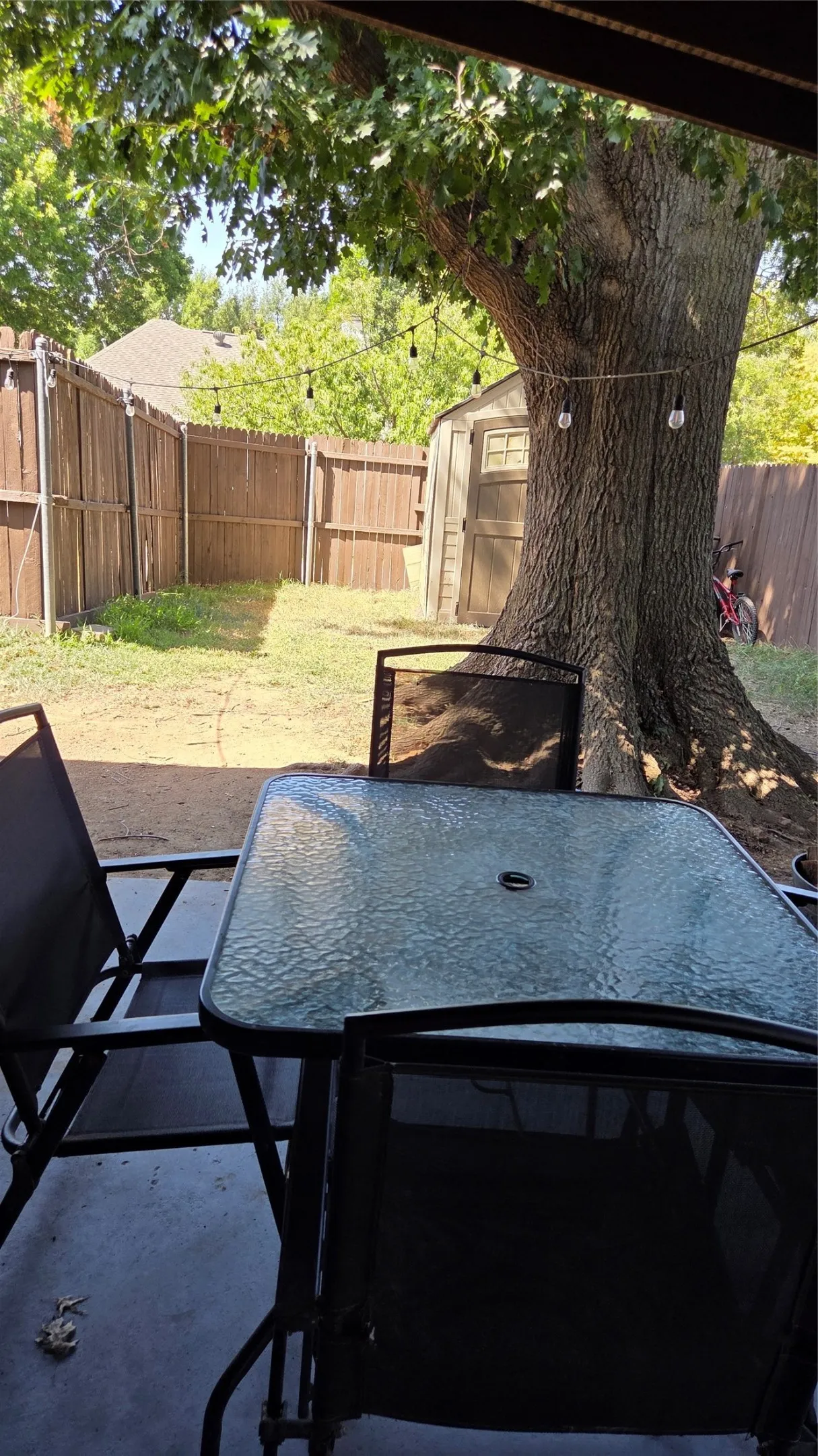 Fenced backyard featuring mature trees and a storage shed