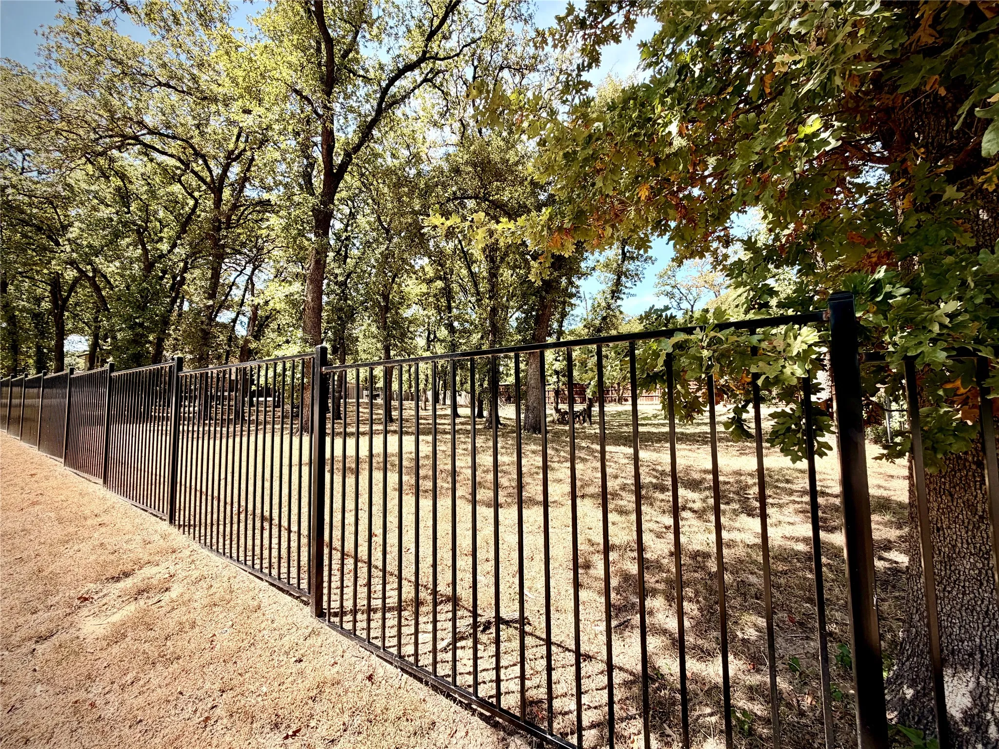 Trees and open space almost entirely fenced