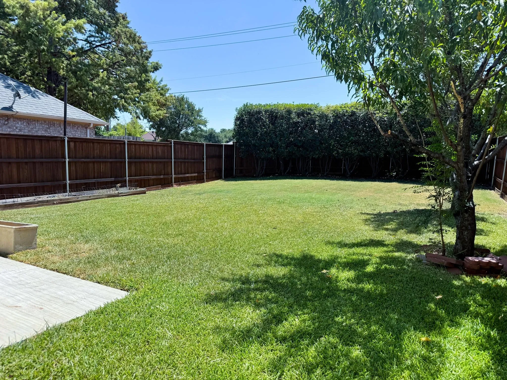 Large yard with board on board fence with steel post.