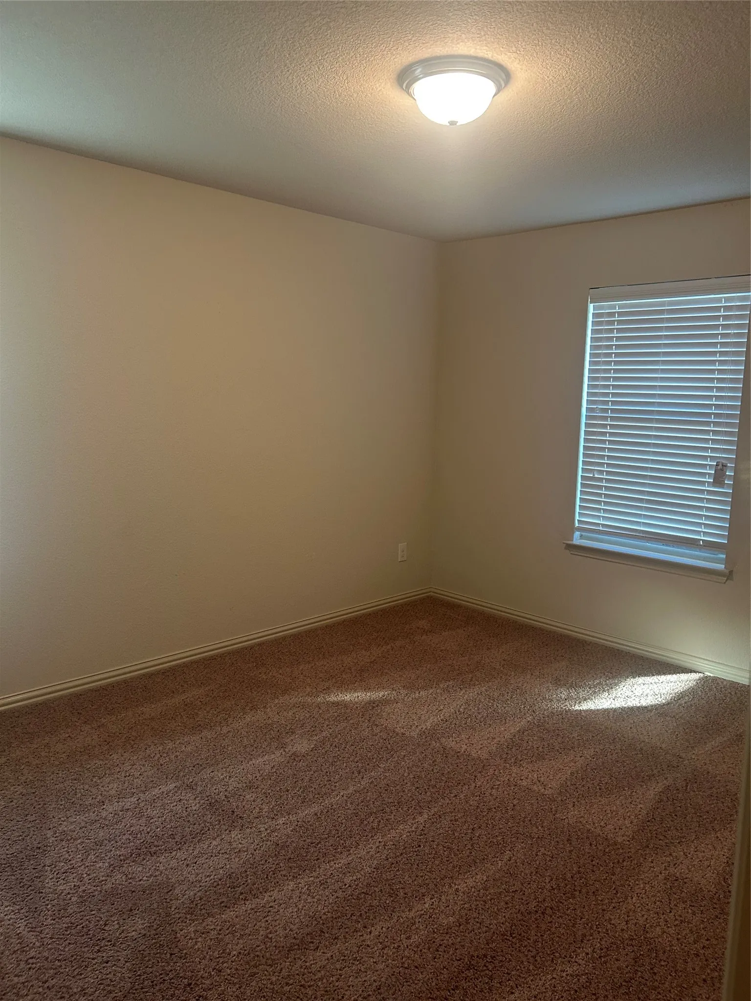 Neutral-toned walls, plush carpeting, and a window with blinds