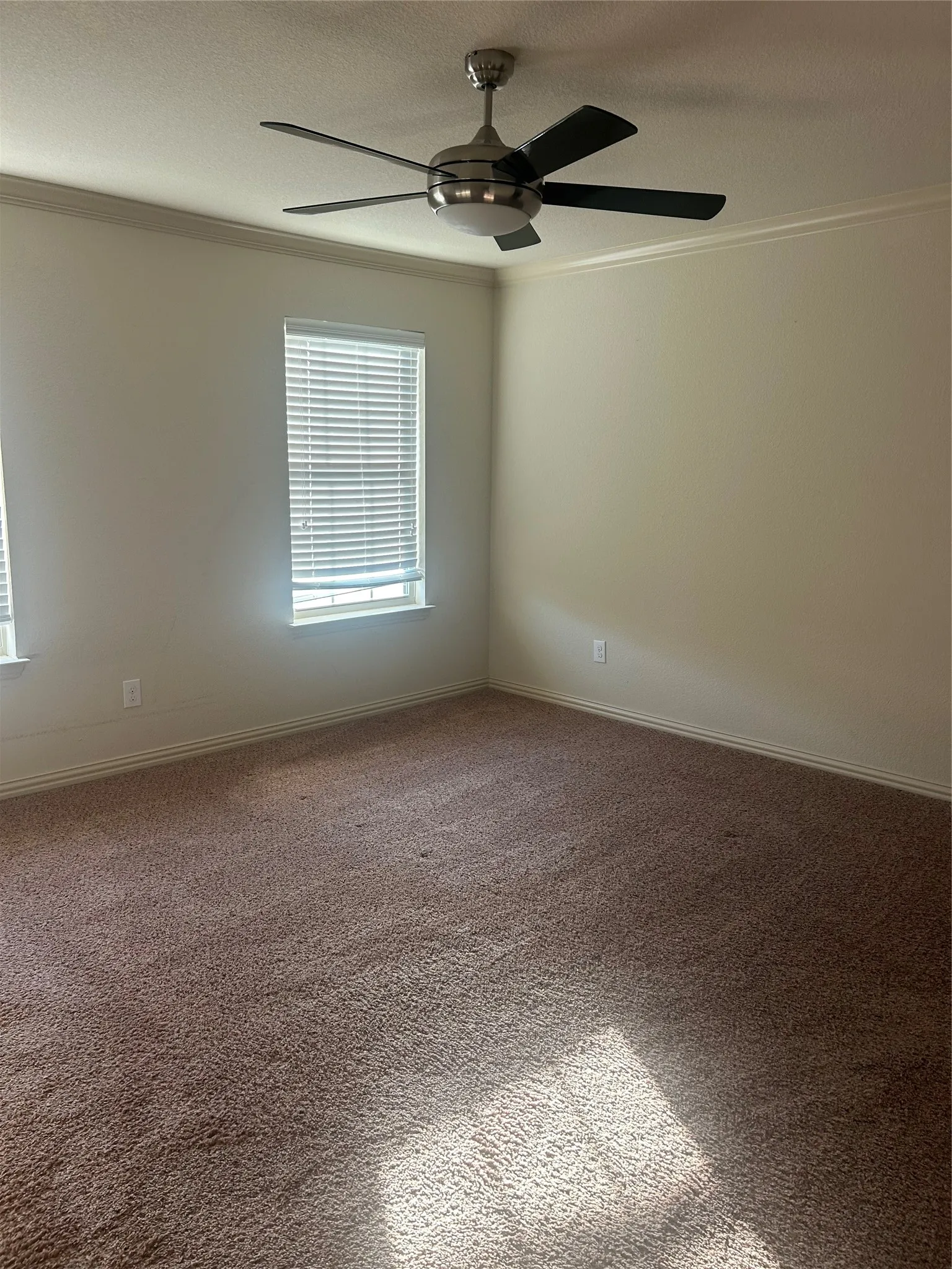 Wall-to-wall carpeting and crown molding