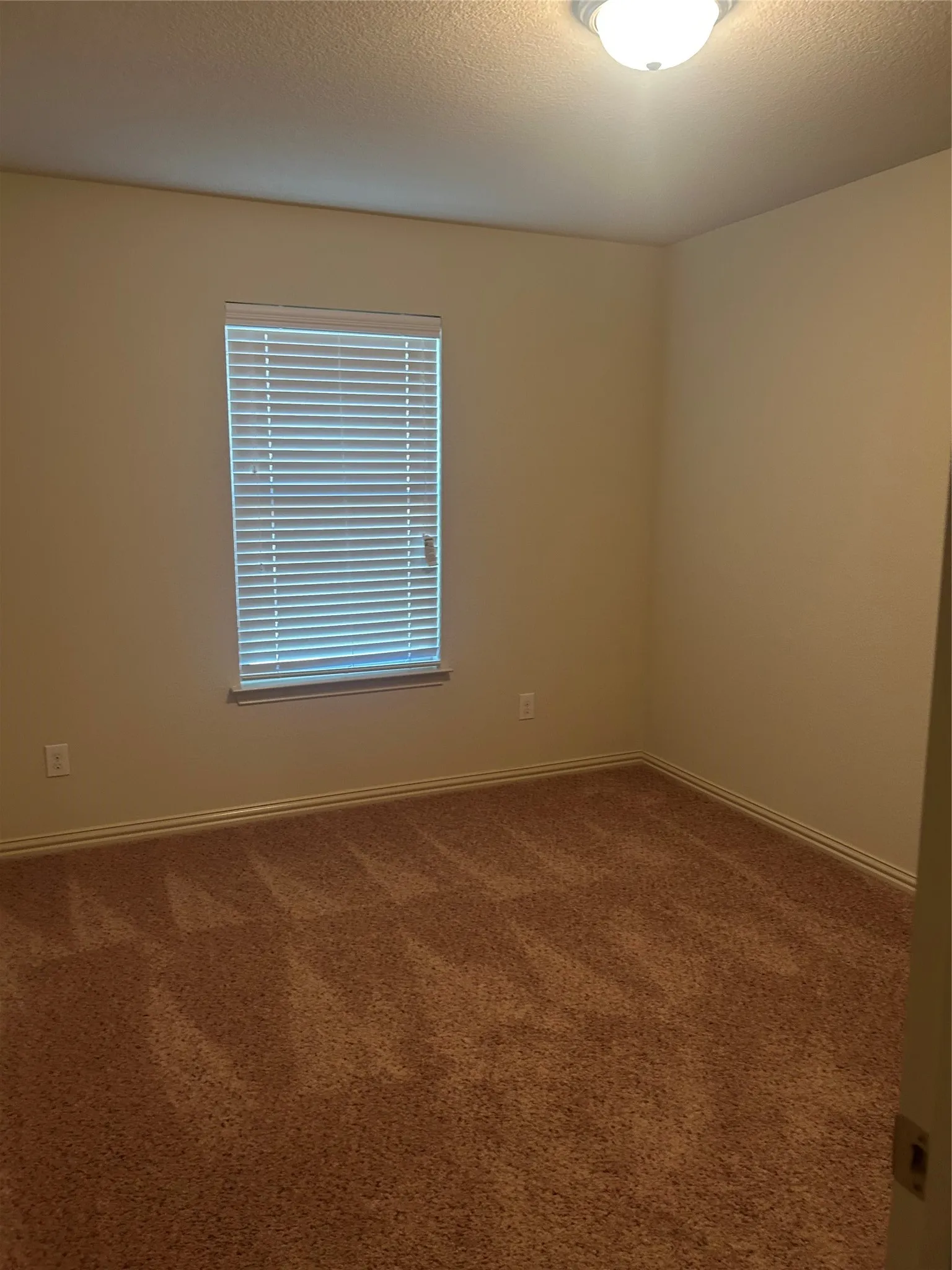 Recessed window with horizontal blinds, flush mount ceiling light fixture, and textured carpeting