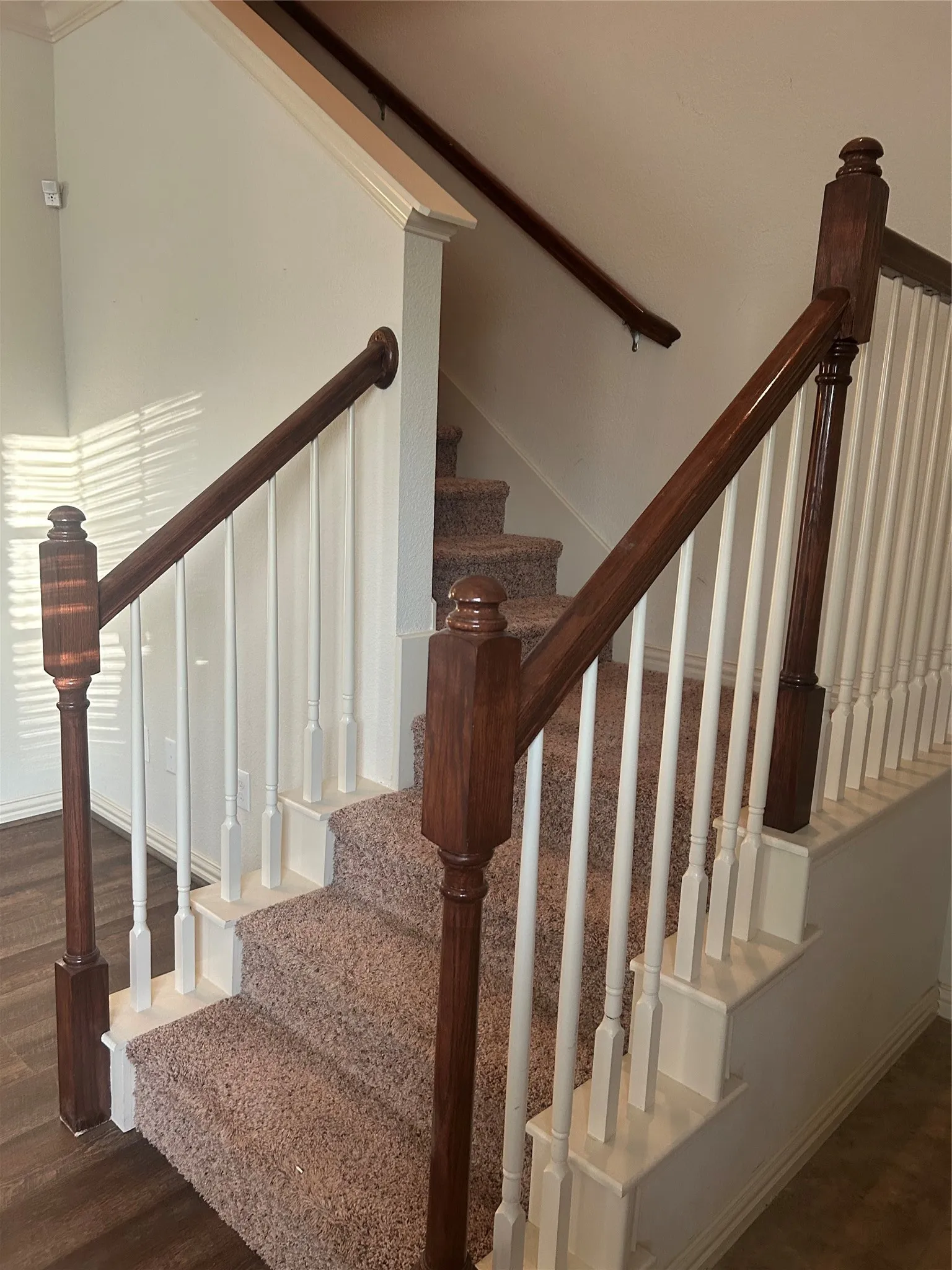 Staircase featuring carpeted treads, white risers, dark wood-finish newel posts, and white balusters