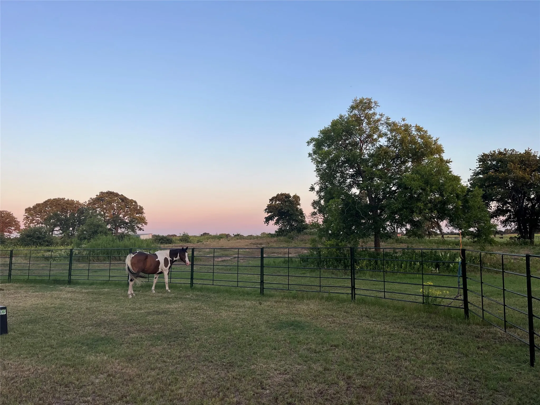 Single Family Residence For Sale in Callahan County , 12613 State Highway 36 E, Cross Plains, Texas 76443, 2 Bedroom, 2 Bathroom, Garage spaces, 1,540 Sqft, built in 1940, mls#21363090, Real Estate Agent in Cross Plains, Homes For Sale in Callahan county, Homes For Sale in Cross Plains, Realtor in Cross Plains Texas, Real Estate Brokerage Independent Realty Texas, Luminita Cordes Realtor