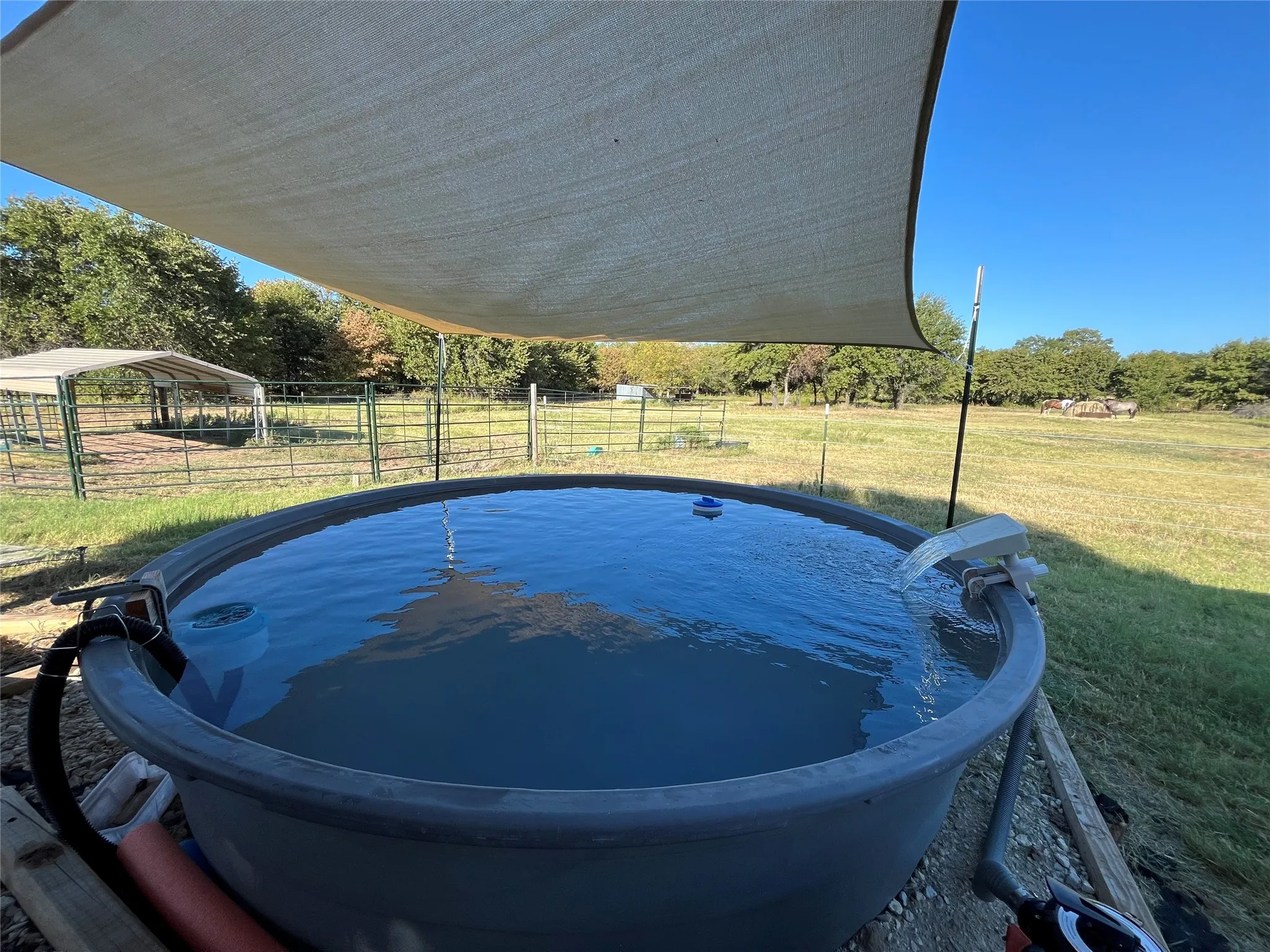 Single Family Residence For Sale in Callahan County , 12613 State Highway 36 E, Cross Plains, Texas 76443, 2 Bedroom, 2 Bathroom, Garage spaces, 1,540 Sqft, built in 1940, mls#21363090, Real Estate Agent in Cross Plains, Homes For Sale in Callahan county, Homes For Sale in Cross Plains, Realtor in Cross Plains Texas, Real Estate Brokerage Independent Realty Texas, Luminita Cordes Realtor