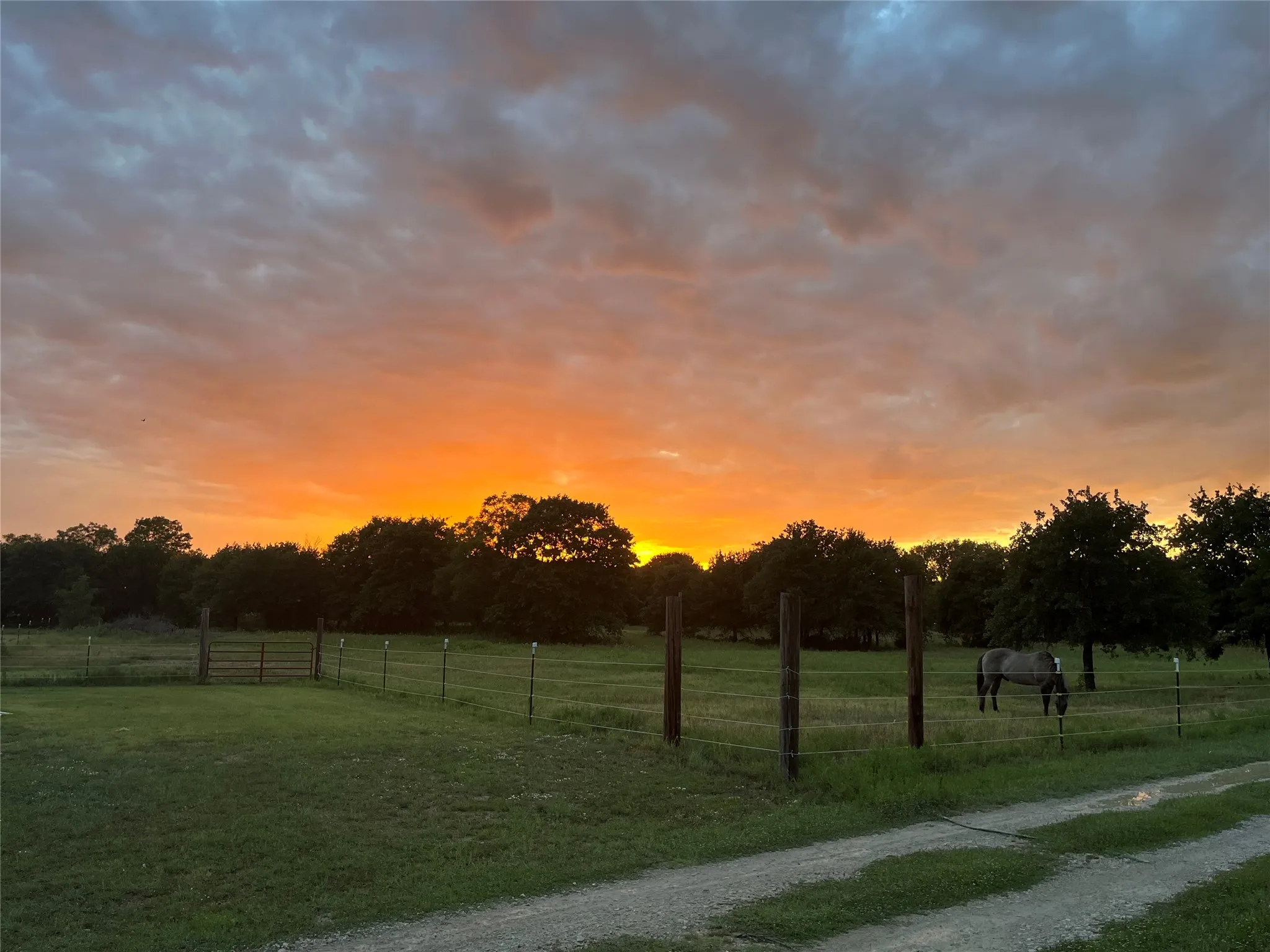 Single Family Residence For Sale in Callahan County , 12613 State Highway 36 E, Cross Plains, Texas 76443, 2 Bedroom, 2 Bathroom, Garage spaces, 1,540 Sqft, built in 1940, mls#21363090, Real Estate Agent in Cross Plains, Homes For Sale in Callahan county, Homes For Sale in Cross Plains, Realtor in Cross Plains Texas, Real Estate Brokerage Independent Realty Texas, Luminita Cordes Realtor
