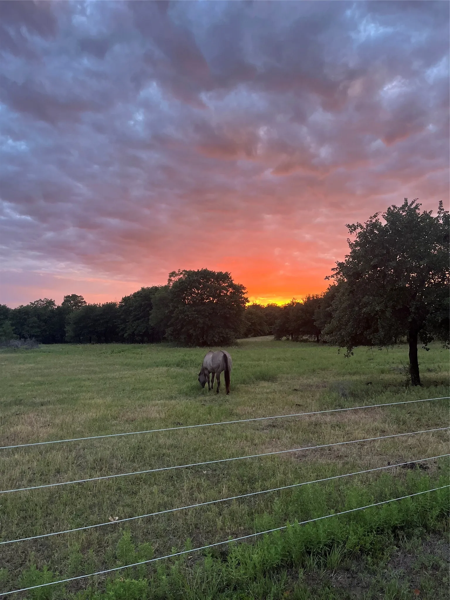 Single Family Residence For Sale in Callahan County , 12613 State Highway 36 E, Cross Plains, Texas 76443, 2 Bedroom, 2 Bathroom, Garage spaces, 1,540 Sqft, built in 1940, mls#21363090, Real Estate Agent in Cross Plains, Homes For Sale in Callahan county, Homes For Sale in Cross Plains, Realtor in Cross Plains Texas, Real Estate Brokerage Independent Realty Texas, Luminita Cordes Realtor