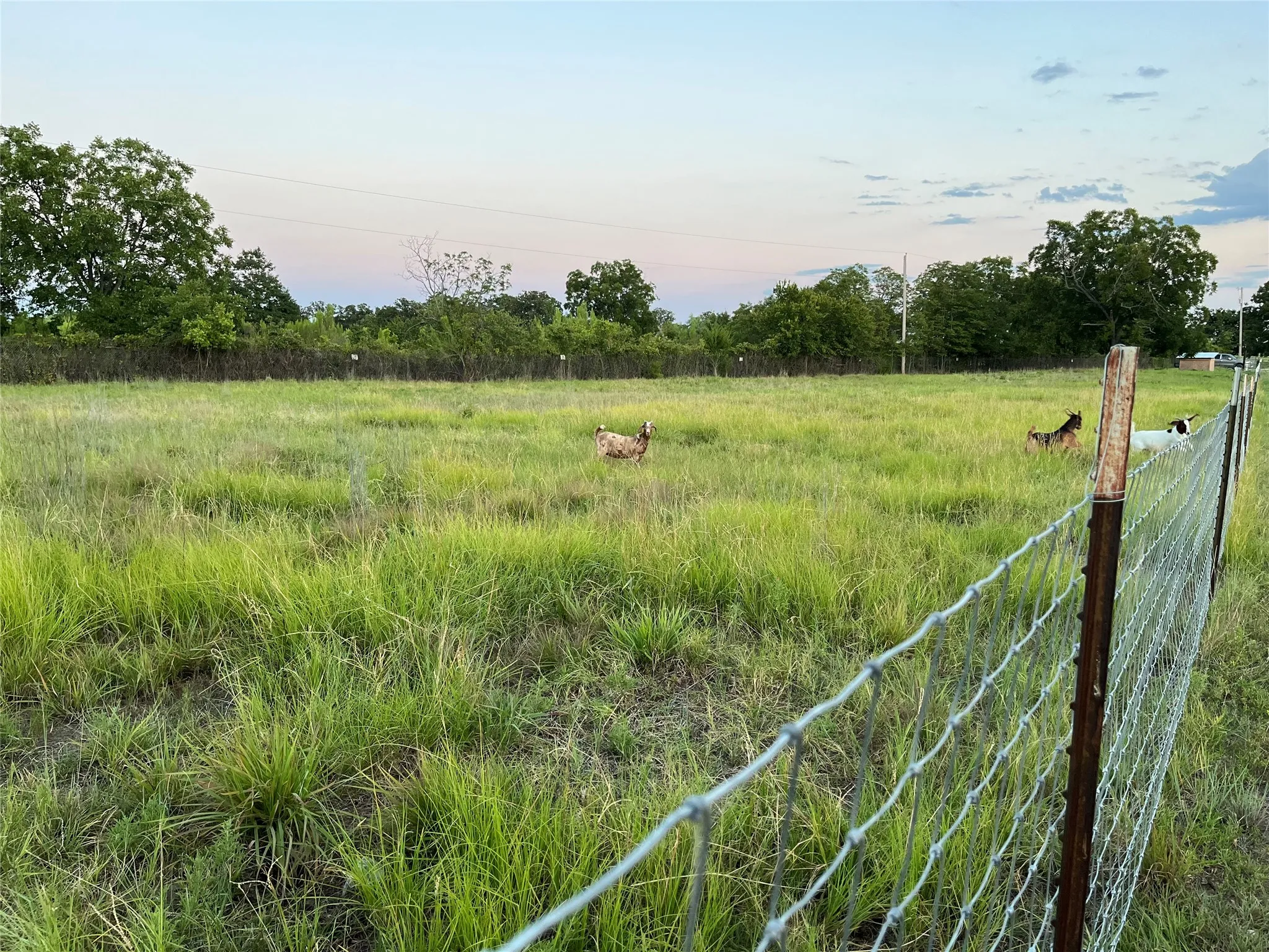 Single Family Residence For Sale in Callahan County , 12613 State Highway 36 E, Cross Plains, Texas 76443, 2 Bedroom, 2 Bathroom, Garage spaces, 1,540 Sqft, built in 1940, mls#21363090, Real Estate Agent in Cross Plains, Homes For Sale in Callahan county, Homes For Sale in Cross Plains, Realtor in Cross Plains Texas, Real Estate Brokerage Independent Realty Texas, Luminita Cordes Realtor