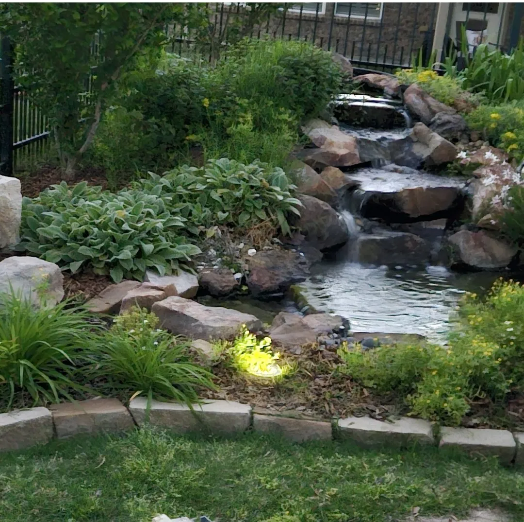 Back yard fountain in the spring