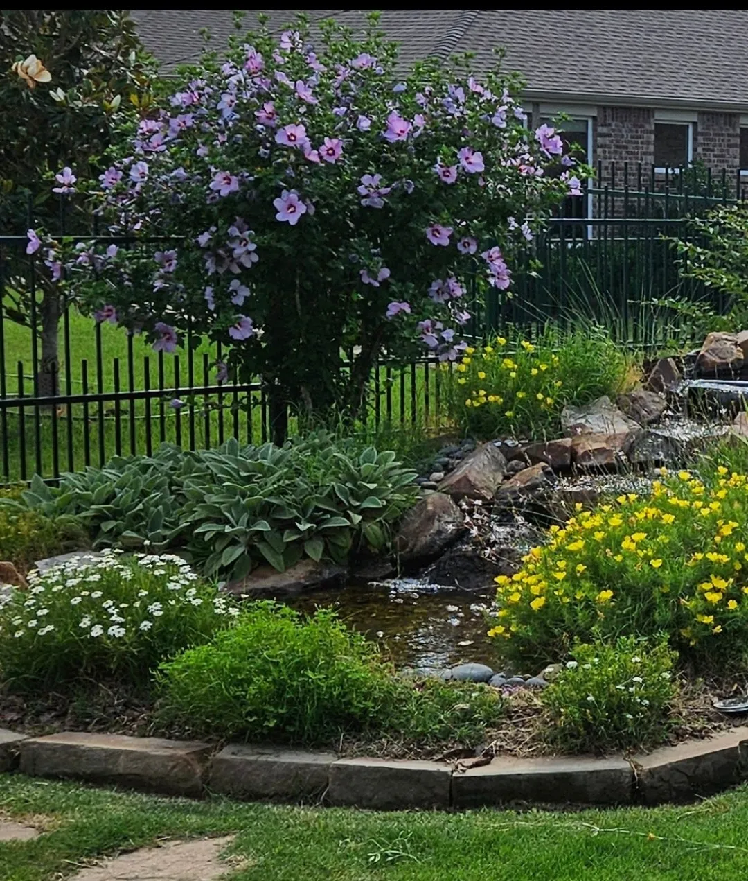 Back yard in the spring