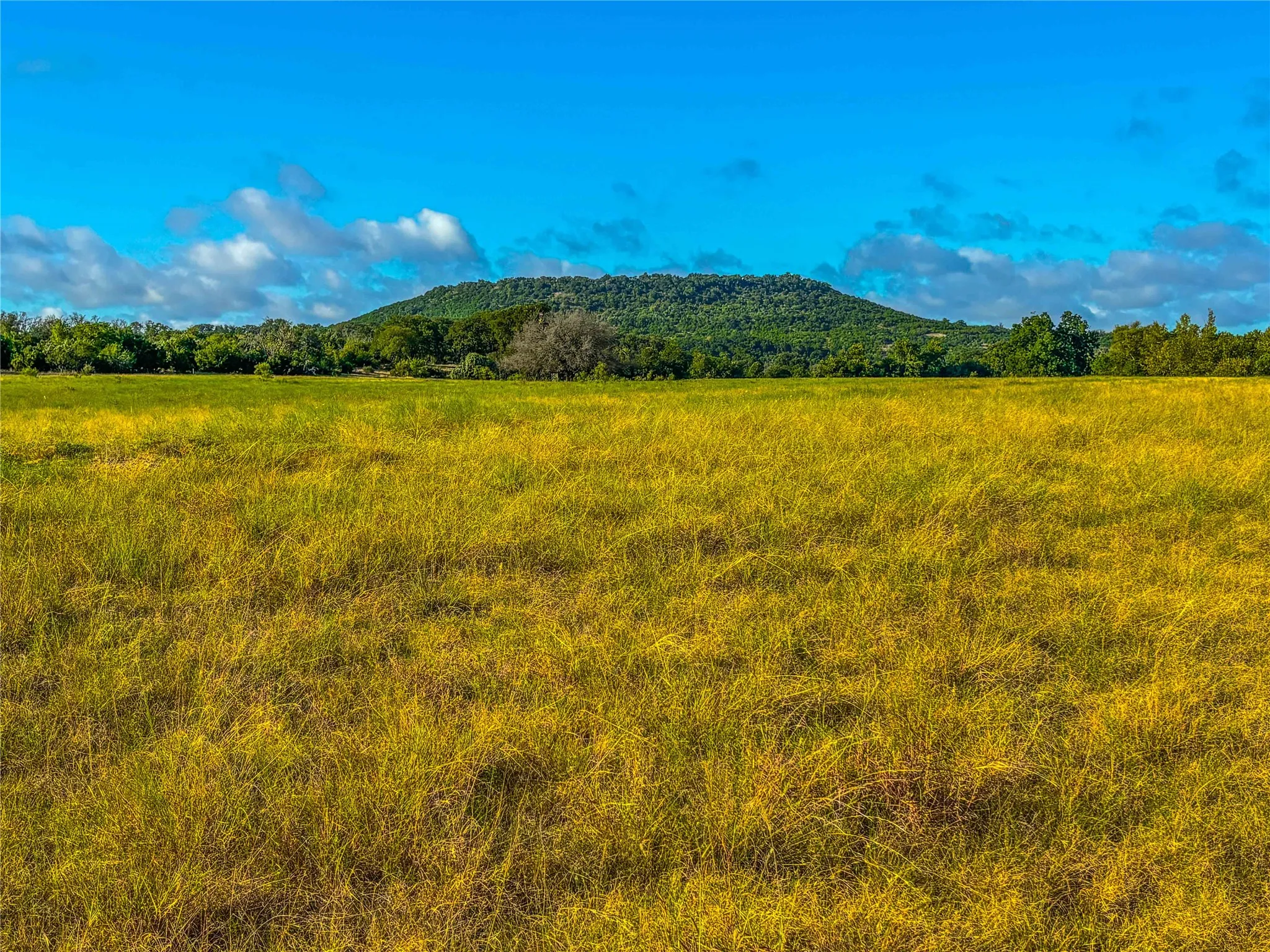 Unimproved Land For Sale in Bell County , UNK Fort Hood, Killeen, Texas 76542, 0, 0, Garage spaces, 0 Sqft, built in 0, mls#21365065, Real Estate Agent in Killeen, Homes For Sale in Bell county, Homes For Sale in Killeen, Realtor in Killeen Texas, Real Estate Brokerage Independent Realty Texas, Luminita Cordes Realtor