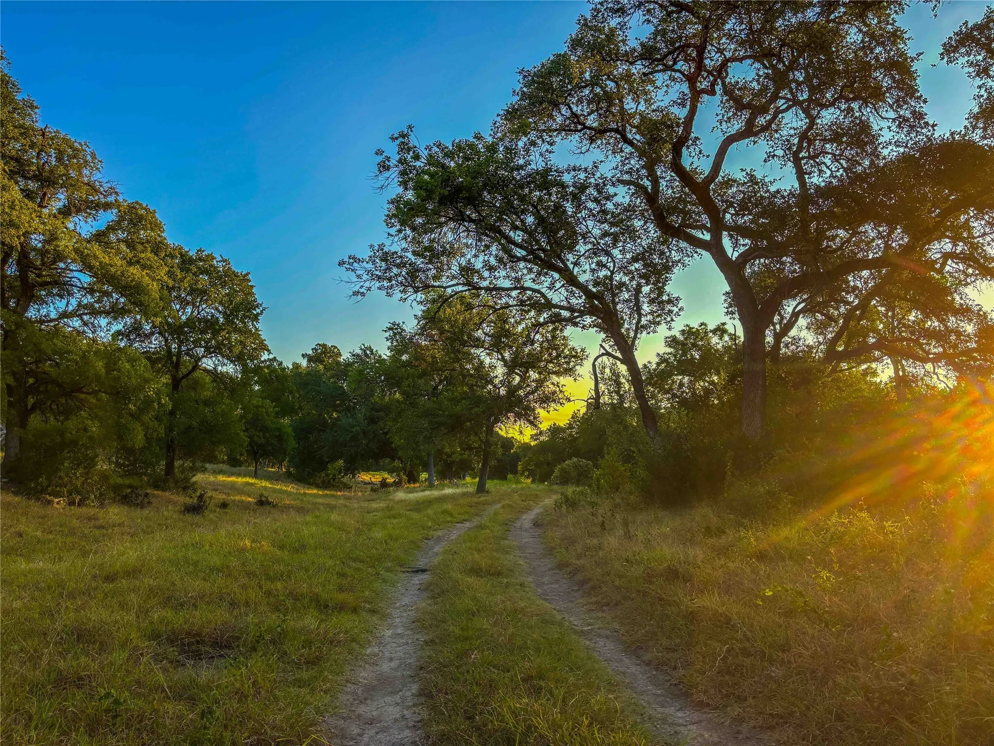 Unimproved Land For Sale in Bell County , UNK Fort Hood, Killeen, Texas 76542, 0, 0, Garage spaces, 0 Sqft, built in 0, mls#21365065, Real Estate Agent in Killeen, Homes For Sale in Bell county, Homes For Sale in Killeen, Realtor in Killeen Texas, Real Estate Brokerage Independent Realty Texas, Luminita Cordes Realtor