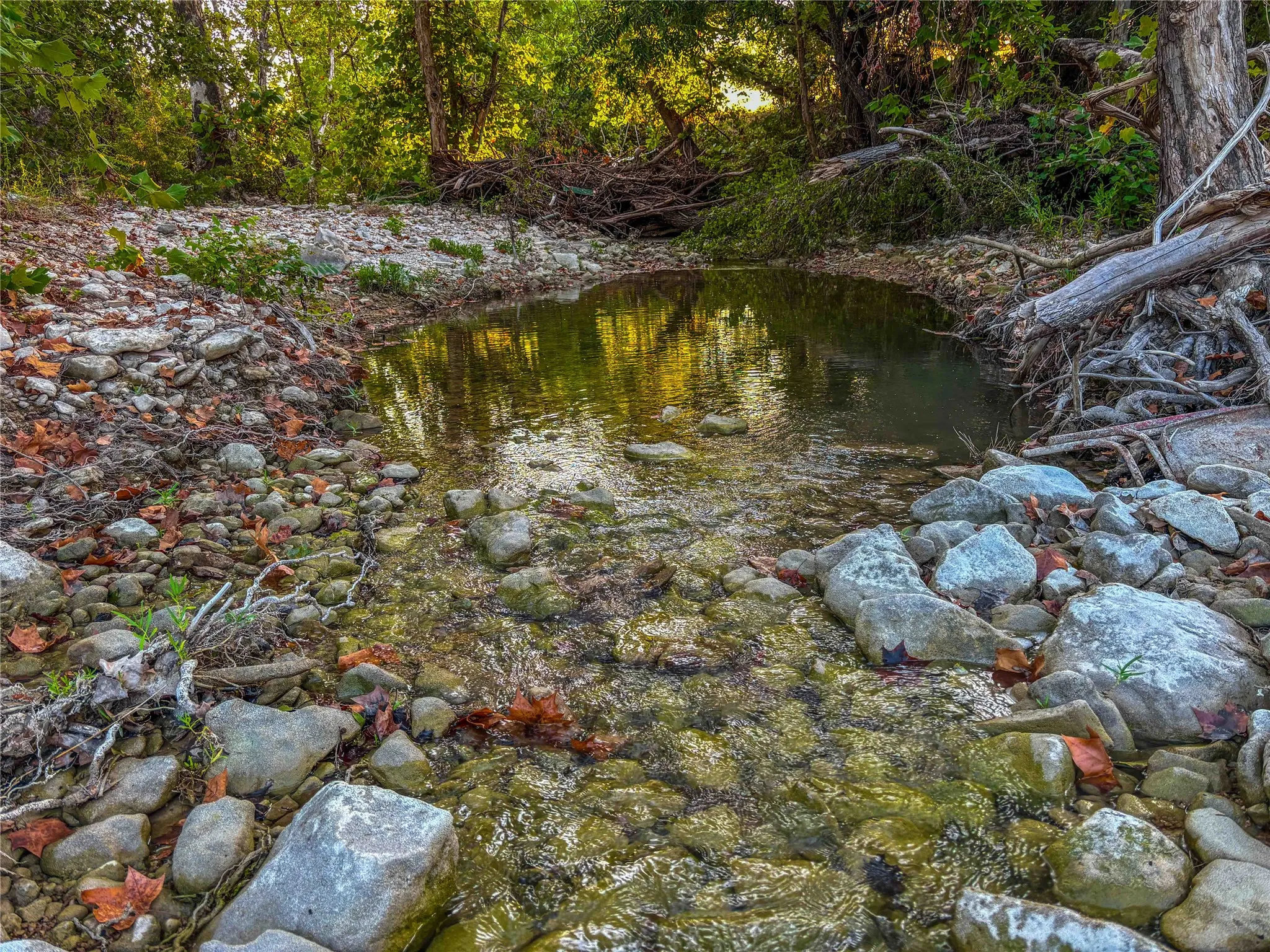 Unimproved Land For Sale in Bell County , UNK Fort Hood, Killeen, Texas 76542, 0, 0, Garage spaces, 0 Sqft, built in 0, mls#21365065, Real Estate Agent in Killeen, Homes For Sale in Bell county, Homes For Sale in Killeen, Realtor in Killeen Texas, Real Estate Brokerage Independent Realty Texas, Luminita Cordes Realtor