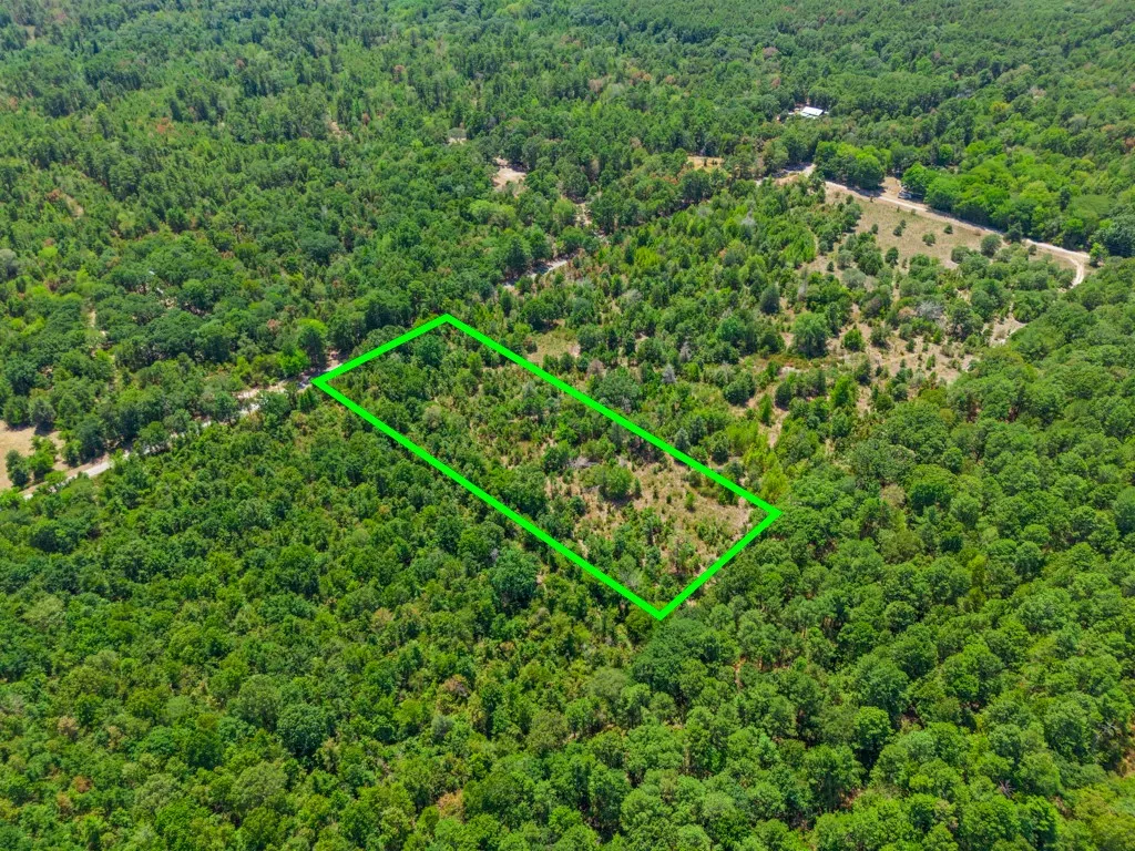 Expansive wooded lot offering significant tree coverage