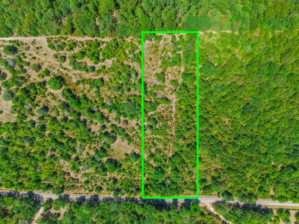 Expansive undeveloped land featuring natural foliage