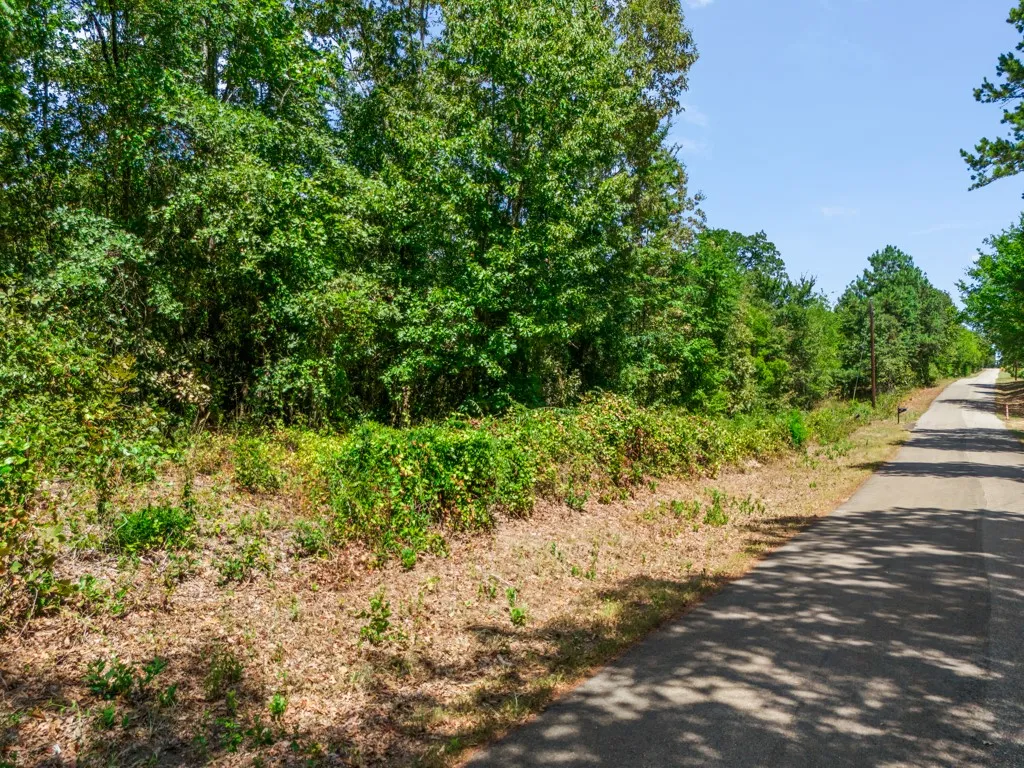 Unimproved Land For Sale in Wood County , TBD CR 3854 4.542 Acres, Hawkins, Texas 75765, 0, 0, Garage spaces, 0 Sqft, built in 0, Price $49,000, mls#21365351, Real Estate Agent in Hawkins, Homes For Sale in Wood county, Homes For Sale in Hawkins, Realtor in Hawkins Texas, Real Estate Brokerage Independent Realty Texas, Luminita Cordes Realtor