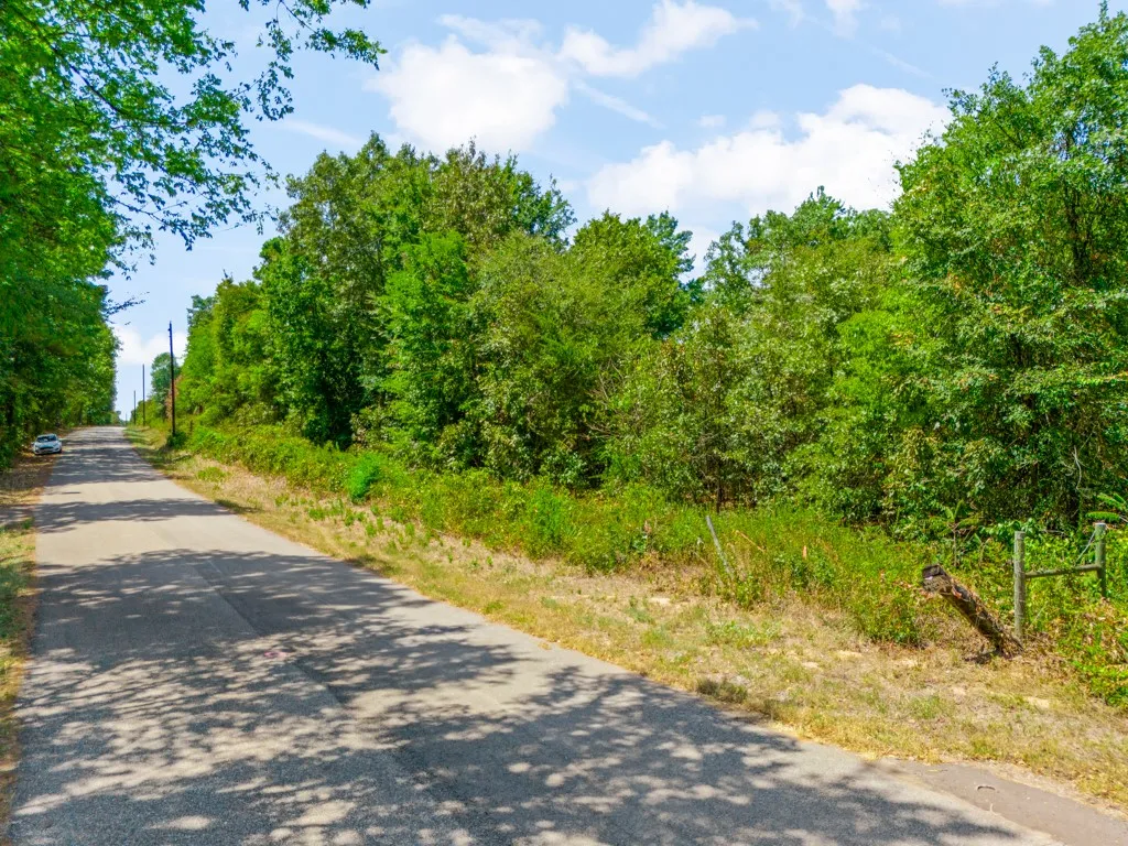 Wooded acreage with mature trees