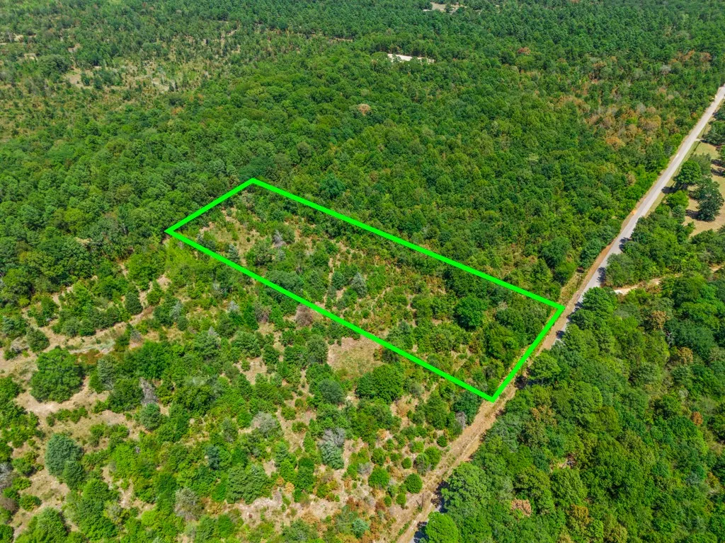 Expansive wooded acreage with a defined boundary, offering abundant natural vegetation and a dirt road bordering the property