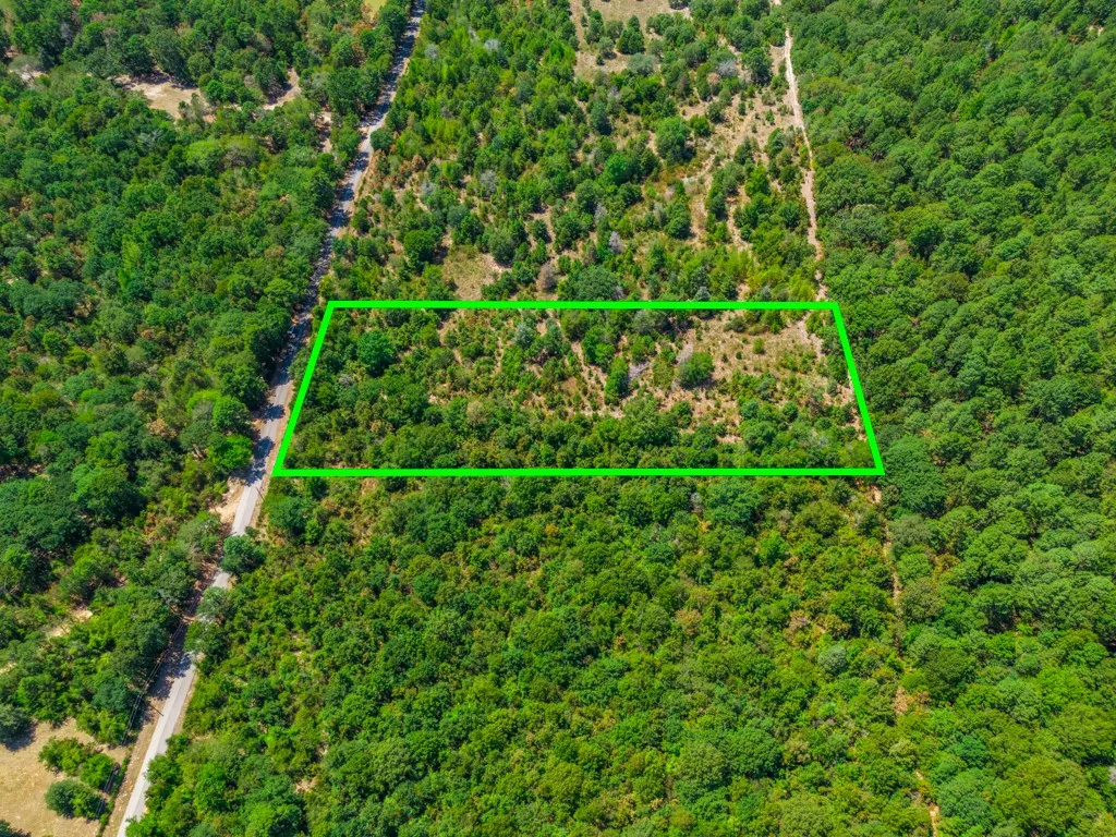 Expansive land parcel with surrounding mature trees and a partial clearing