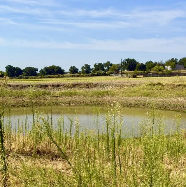 Single Family Residence For Sale in Wise County , 1108 County Road 4360, Decatur, Texas 76234, 4 Bedroom, 4 Bathroom, 3 Garage spaces, 2,222 Sqft, built in 2004, mls#21365360, Real Estate Agent in Decatur, Homes For Sale in Wise county, Homes For Sale in Decatur, Realtor in Decatur Texas, Real Estate Brokerage Independent Realty Texas, Luminita Cordes Realtor