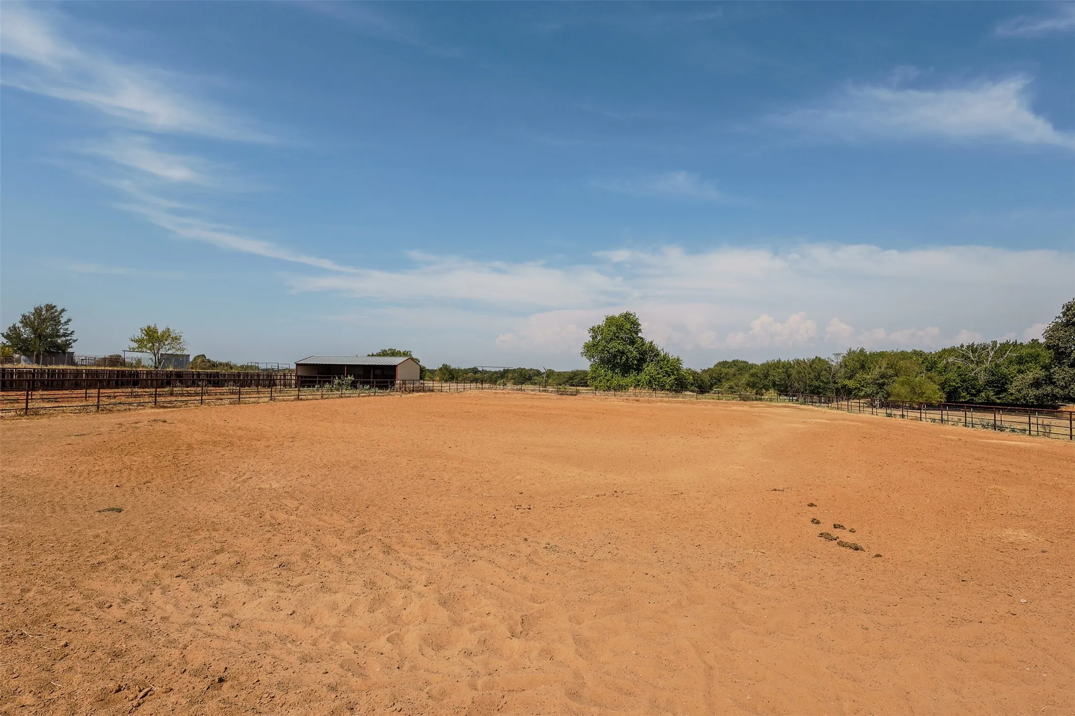 Arena