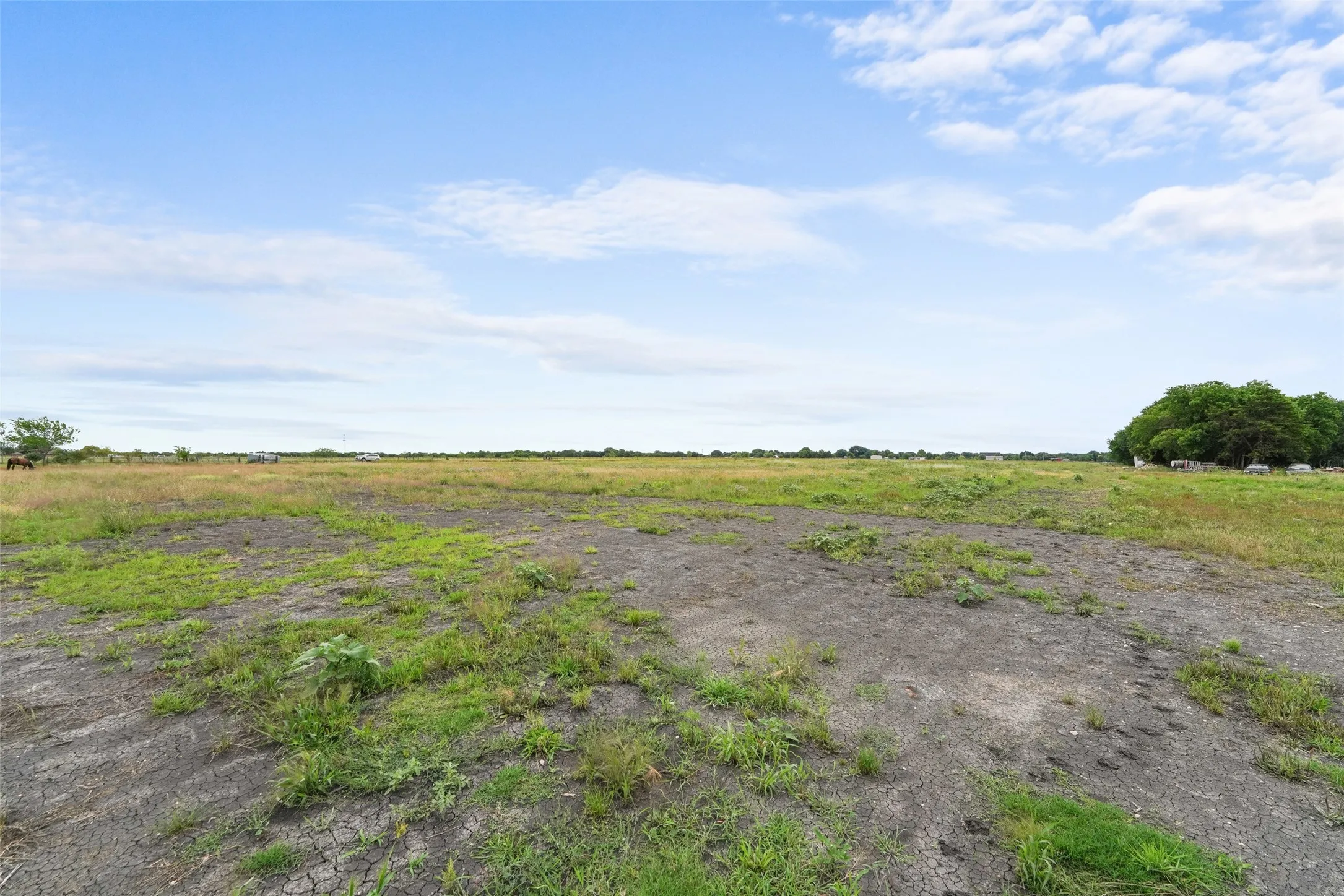 Unimproved Land For Sale in Ellis County , TBD Ewing Road, Ferris, Texas 75125, 0, 0, Garage spaces, 0 Sqft, built in 0, mls#21365383, Real Estate Agent in Ferris, Homes For Sale in Ellis county, Homes For Sale in Ferris, Realtor in Ferris Texas, Real Estate Brokerage Independent Realty Texas, Luminita Cordes Realtor