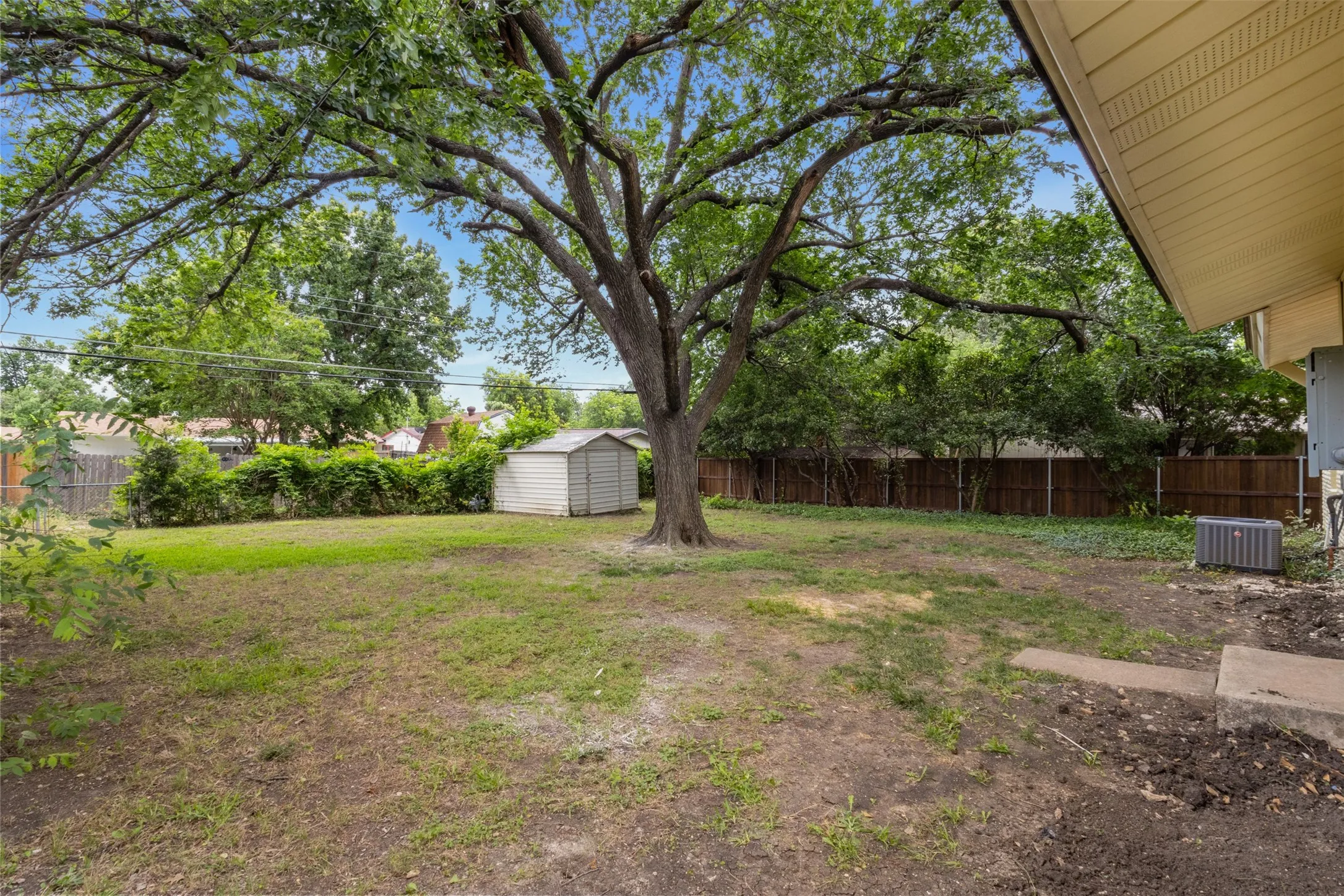 Spacious backyard featuring a prominent mature tree, a detached storage shed, a wood fence, and a concrete patio