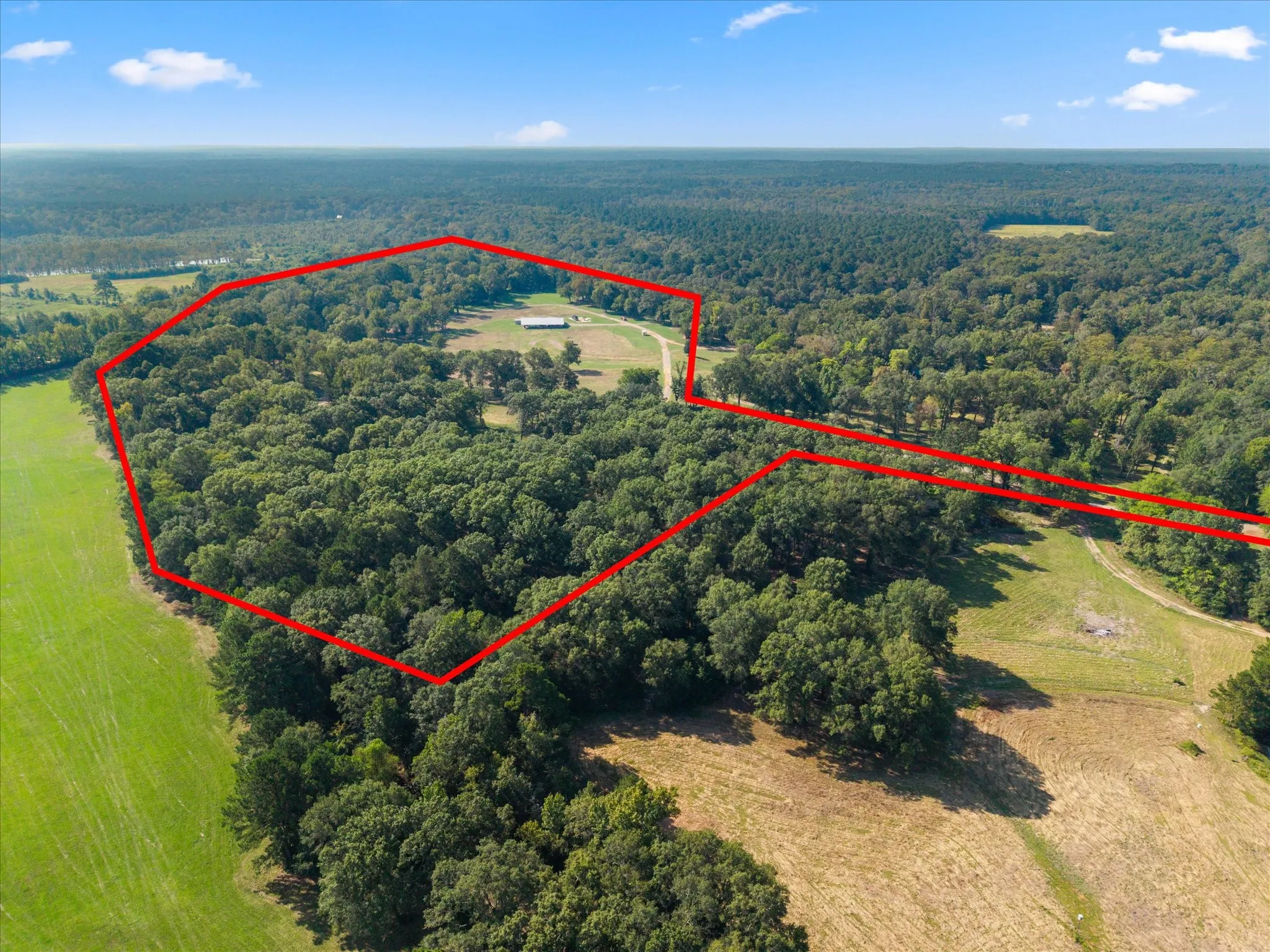 Improved Land For Sale in Marion County , 1602 TX HWY 49, Jefferson, Texas 75657, 0, 0, Garage spaces, 0 Sqft, built in 0, Price $849,999, mls#21365441, Real Estate Agent in Jefferson, Homes For Sale in Marion county, Homes For Sale in Jefferson, Realtor in Jefferson Texas, Real Estate Brokerage Independent Realty Texas, Luminita Cordes Realtor