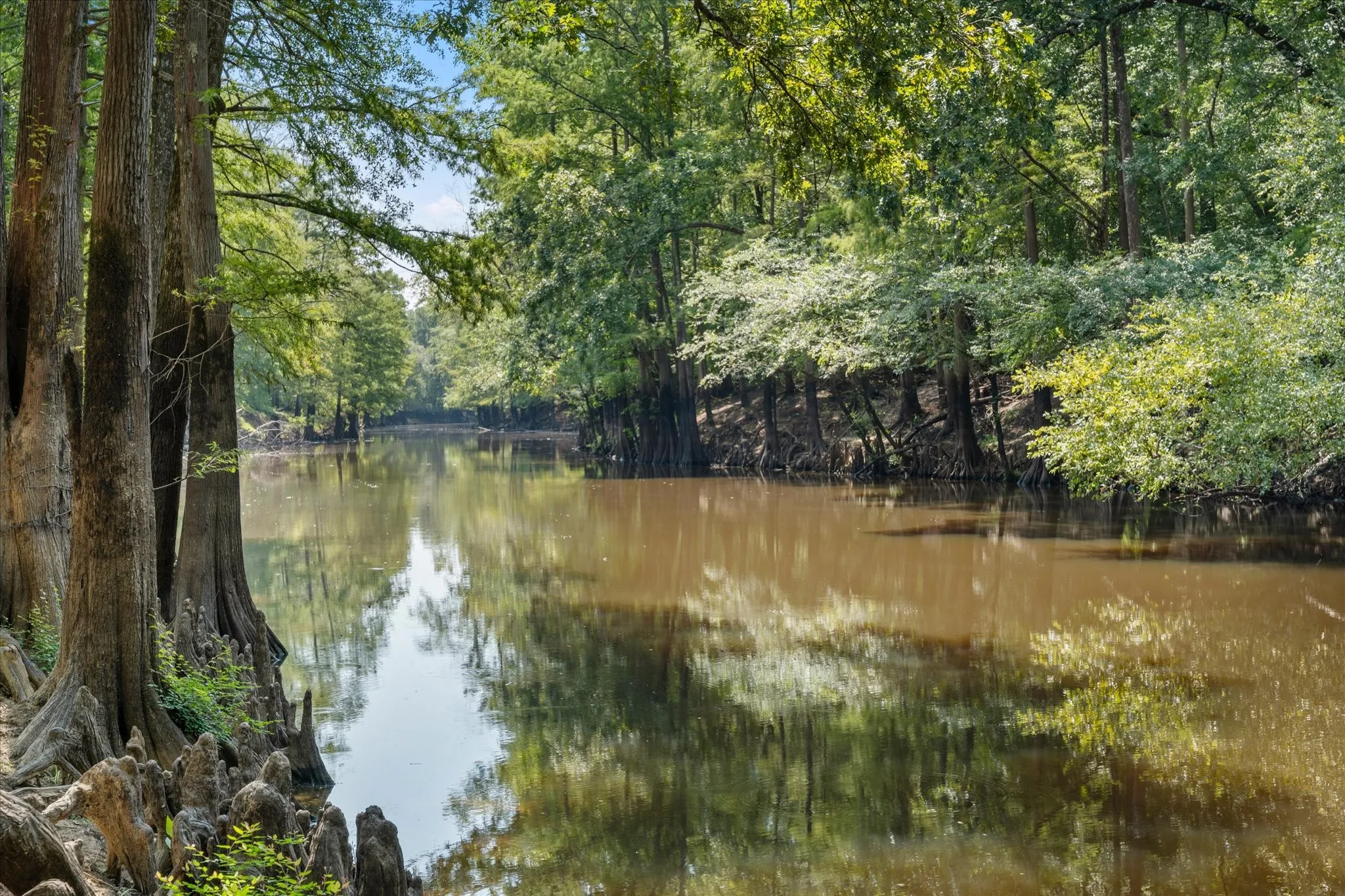 Improved Land For Sale in Marion County , 1602 TX HWY 49, Jefferson, Texas 75657, 0, 0, Garage spaces, 0 Sqft, built in 0, Price $849,999, mls#21365441, Real Estate Agent in Jefferson, Homes For Sale in Marion county, Homes For Sale in Jefferson, Realtor in Jefferson Texas, Real Estate Brokerage Independent Realty Texas, Luminita Cordes Realtor
