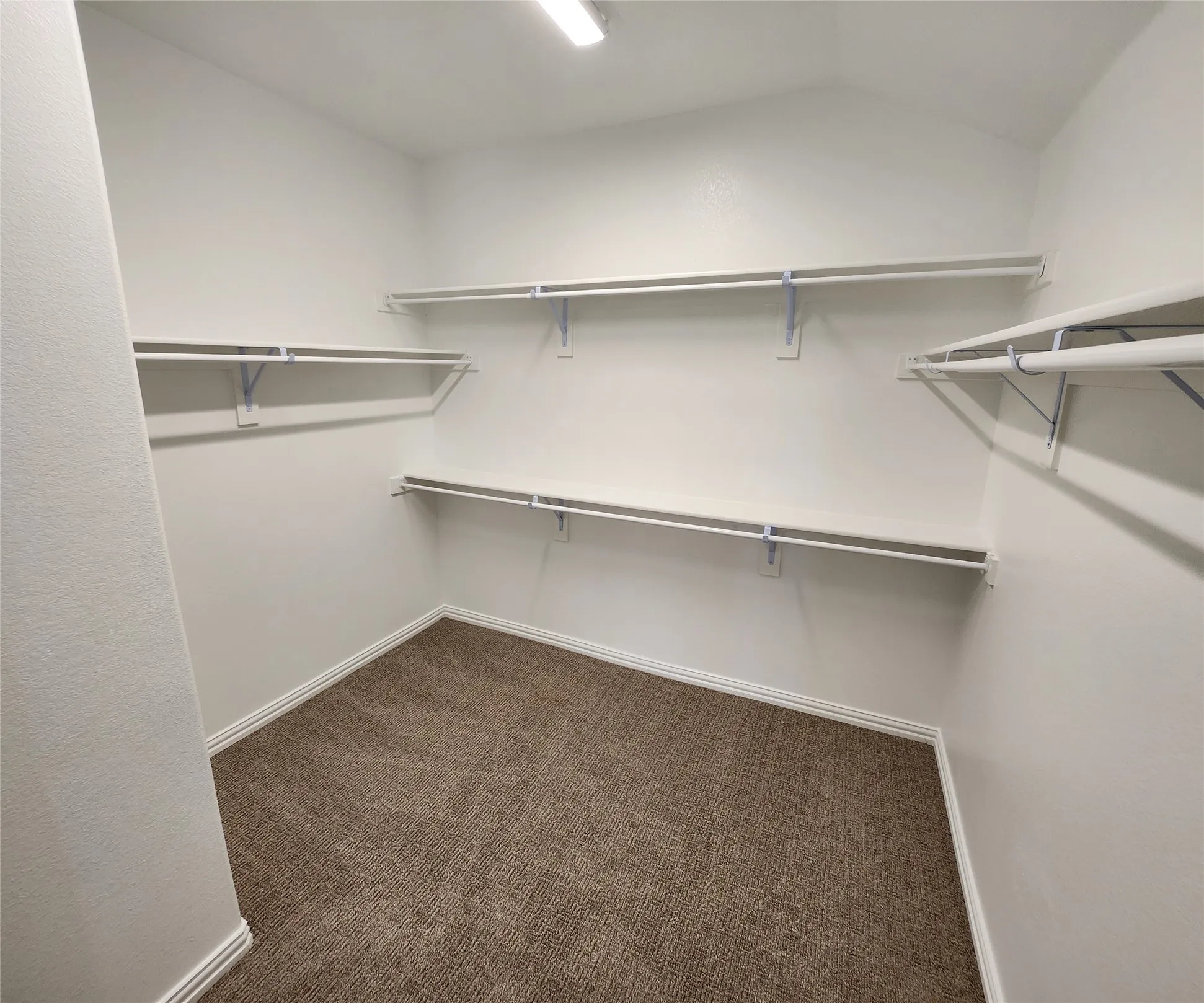 Walk-in closet with integrated shelving, multiple hanging rods, recessed ceiling light, and wall-to-wall carpeting