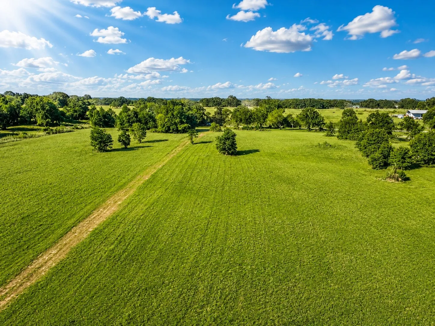 Expansive green fields with scattered trees and a visible dirt path