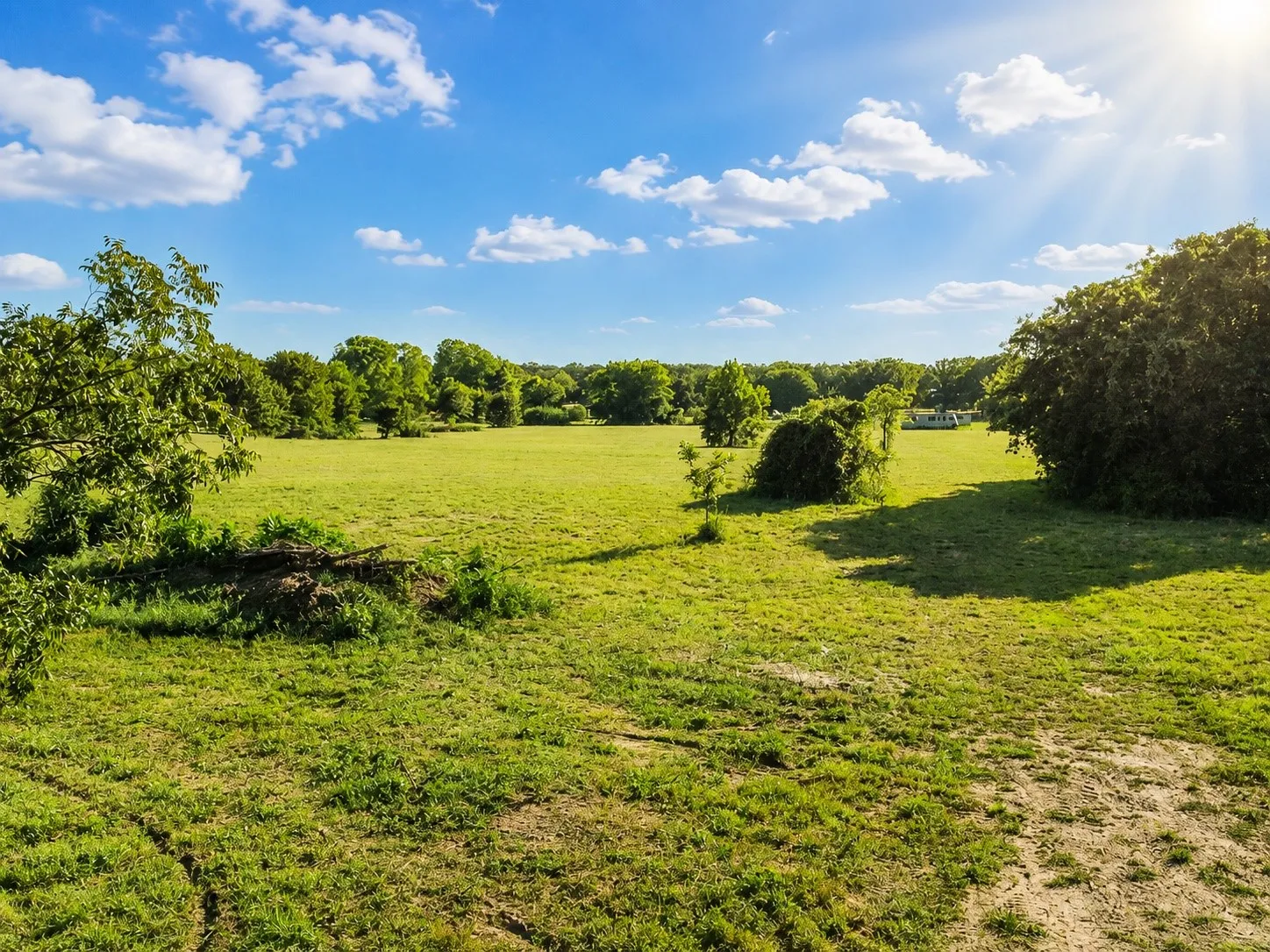 Unimproved Land For Sale in Hill County , TBD L1 CR 1250, Whitney, Texas 76692, 0, 0, Garage spaces, 0 Sqft, built in 0, mls#21357818, Real Estate Agent in Whitney, Homes For Sale in Hill county, Homes For Sale in Whitney, Realtor in Whitney Texas, Real Estate Brokerage Independent Realty Texas, Luminita Cordes Realtor