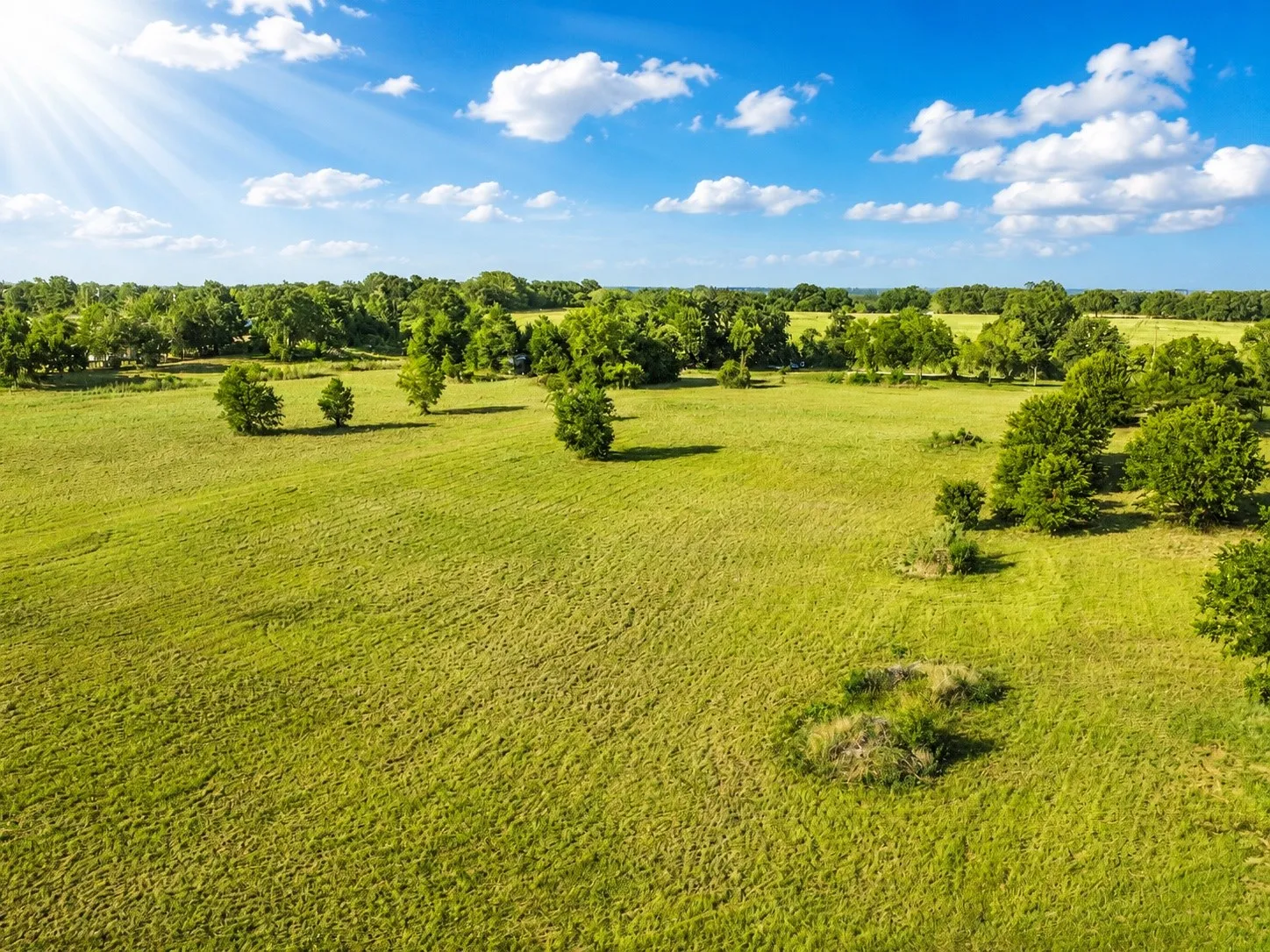 Expansive green landscape featuring scattered mature trees and distant tree lines