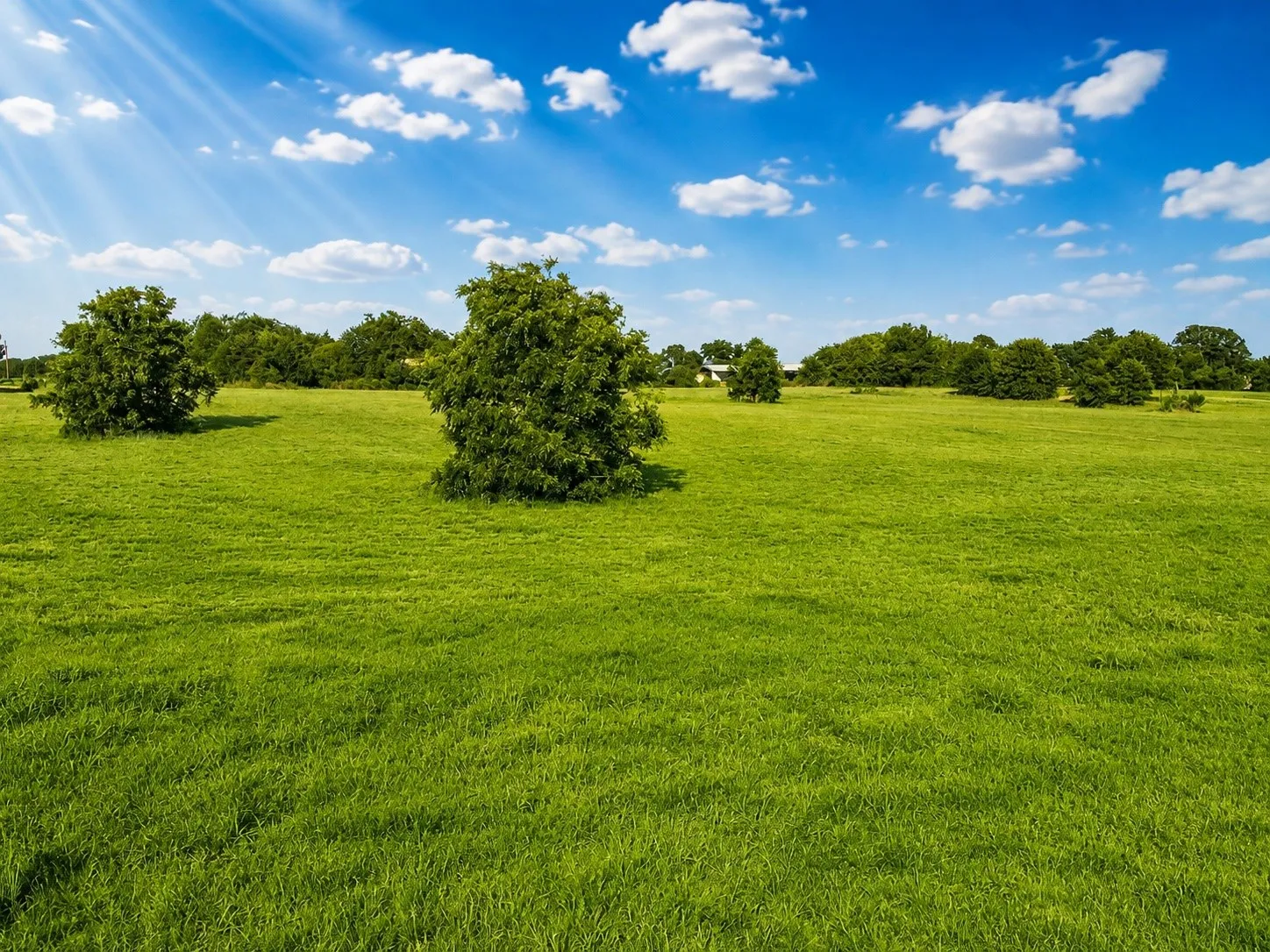 Unimproved Land For Sale in Hill County , TBD L2 Pine Acres, Whitney, Texas 76692, 0, 0, Garage spaces, 0 Sqft, built in 0, mls#21357985, Real Estate Agent in Whitney, Homes For Sale in Hill county, Homes For Sale in Whitney, Realtor in Whitney Texas, Real Estate Brokerage Independent Realty Texas, Luminita Cordes Realtor