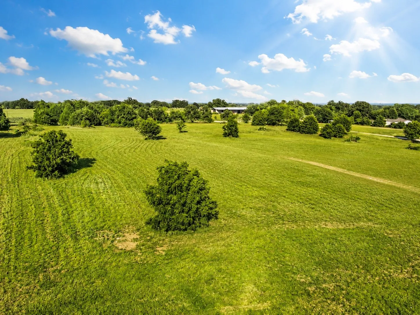 Expansive green landscape with scattered mature trees and distant structures