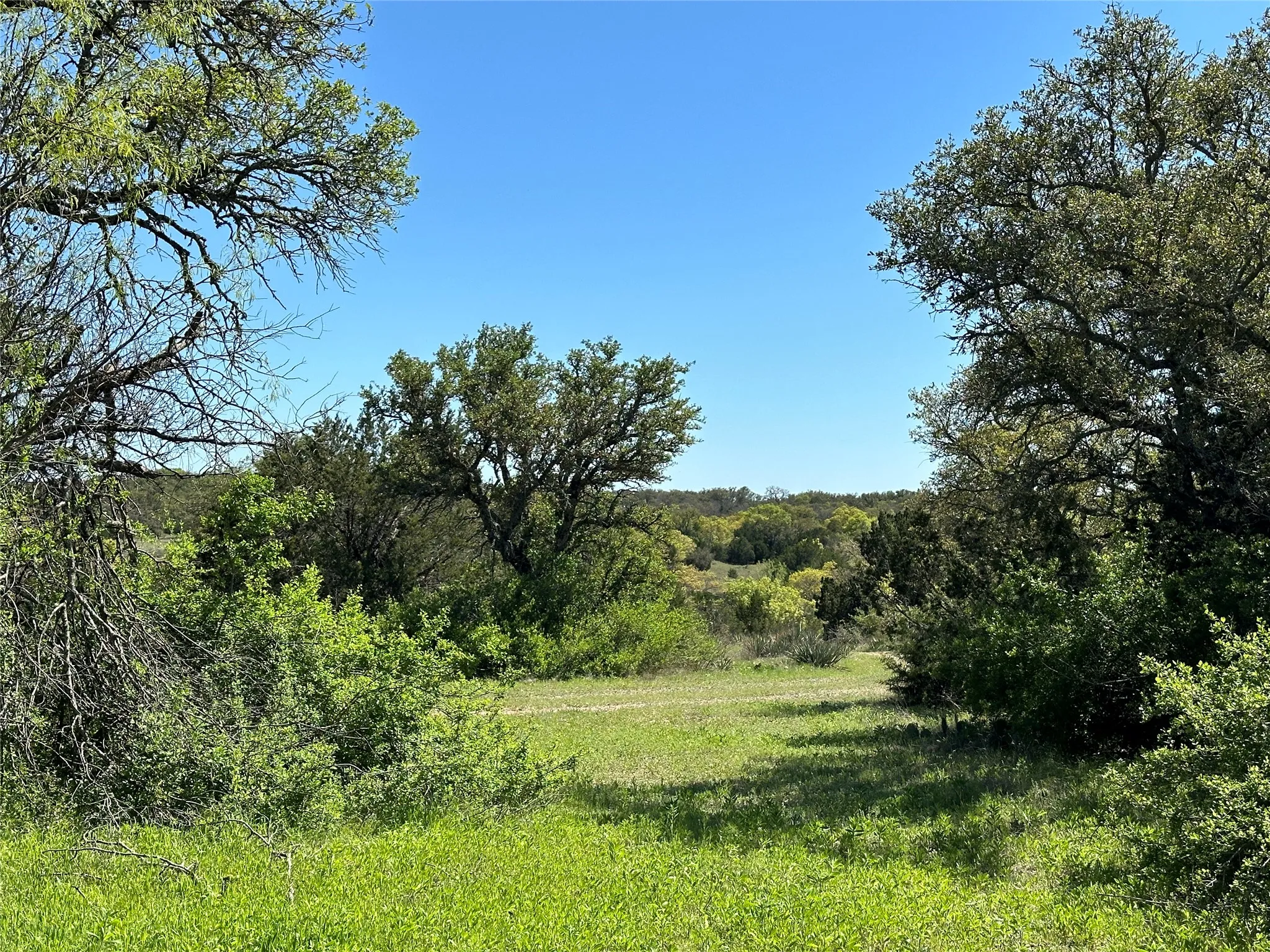 Ranch For Sale in Mills County , 11 County Road 191, Mullin, Texas 76864, 0, 0, Garage spaces, 0 Sqft, built in 0, mls#21365459, Real Estate Agent in Mullin, Homes For Sale in Mills county, Homes For Sale in Mullin, Realtor in Mullin Texas, Real Estate Brokerage Independent Realty Texas, Luminita Cordes Realtor