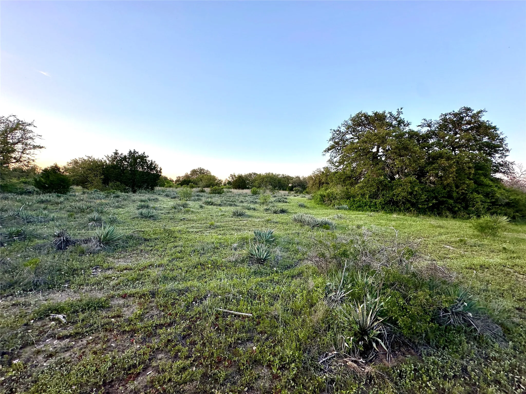 Ranch For Sale in Mills County , 11 County Road 191, Mullin, Texas 76864, 0, 0, Garage spaces, 0 Sqft, built in 0, mls#21365459, Real Estate Agent in Mullin, Homes For Sale in Mills county, Homes For Sale in Mullin, Realtor in Mullin Texas, Real Estate Brokerage Independent Realty Texas, Luminita Cordes Realtor