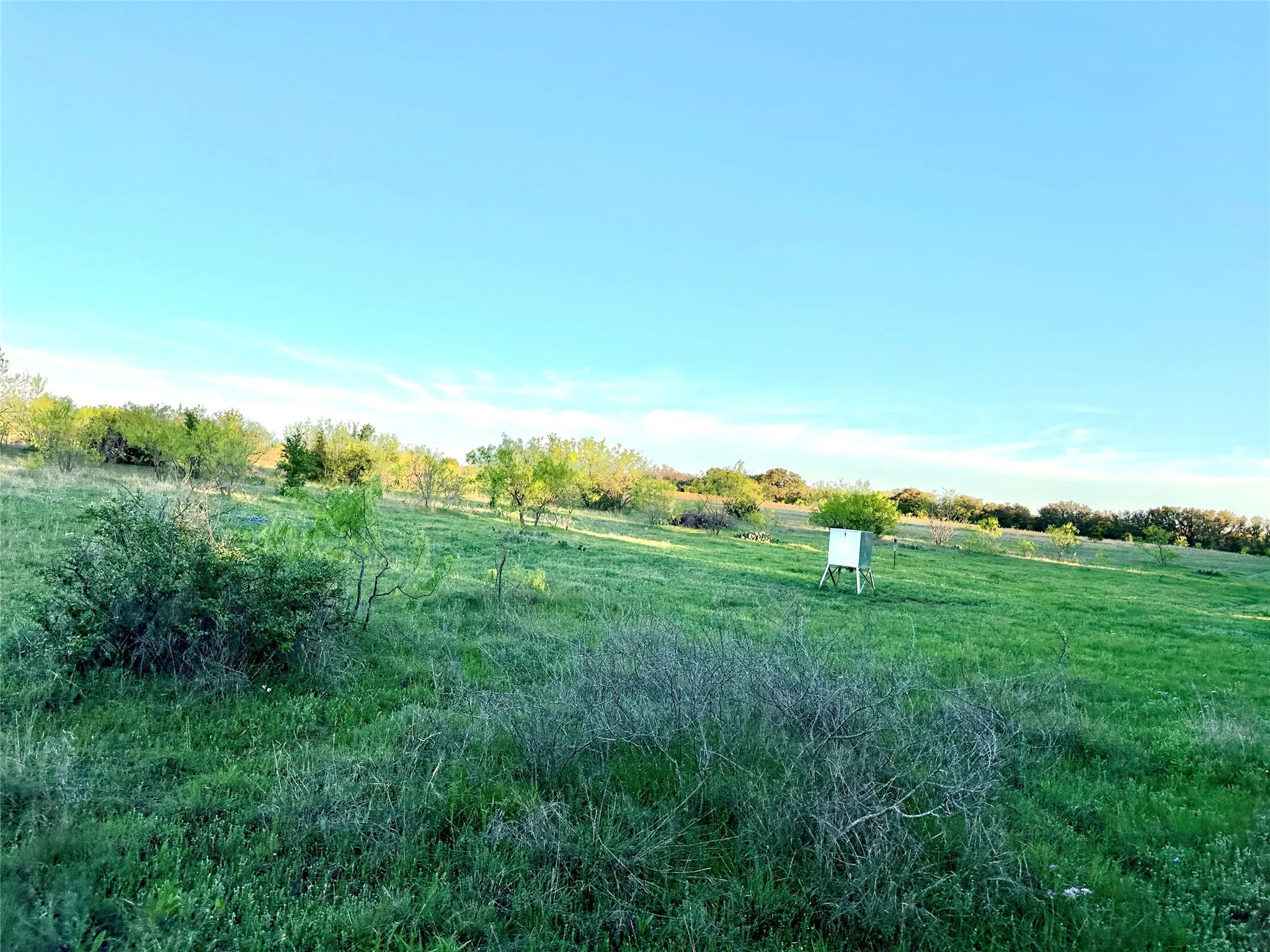 Ranch For Sale in Mills County , 11 County Road 191, Mullin, Texas 76864, 0, 0, Garage spaces, 0 Sqft, built in 0, mls#21365459, Real Estate Agent in Mullin, Homes For Sale in Mills county, Homes For Sale in Mullin, Realtor in Mullin Texas, Real Estate Brokerage Independent Realty Texas, Luminita Cordes Realtor