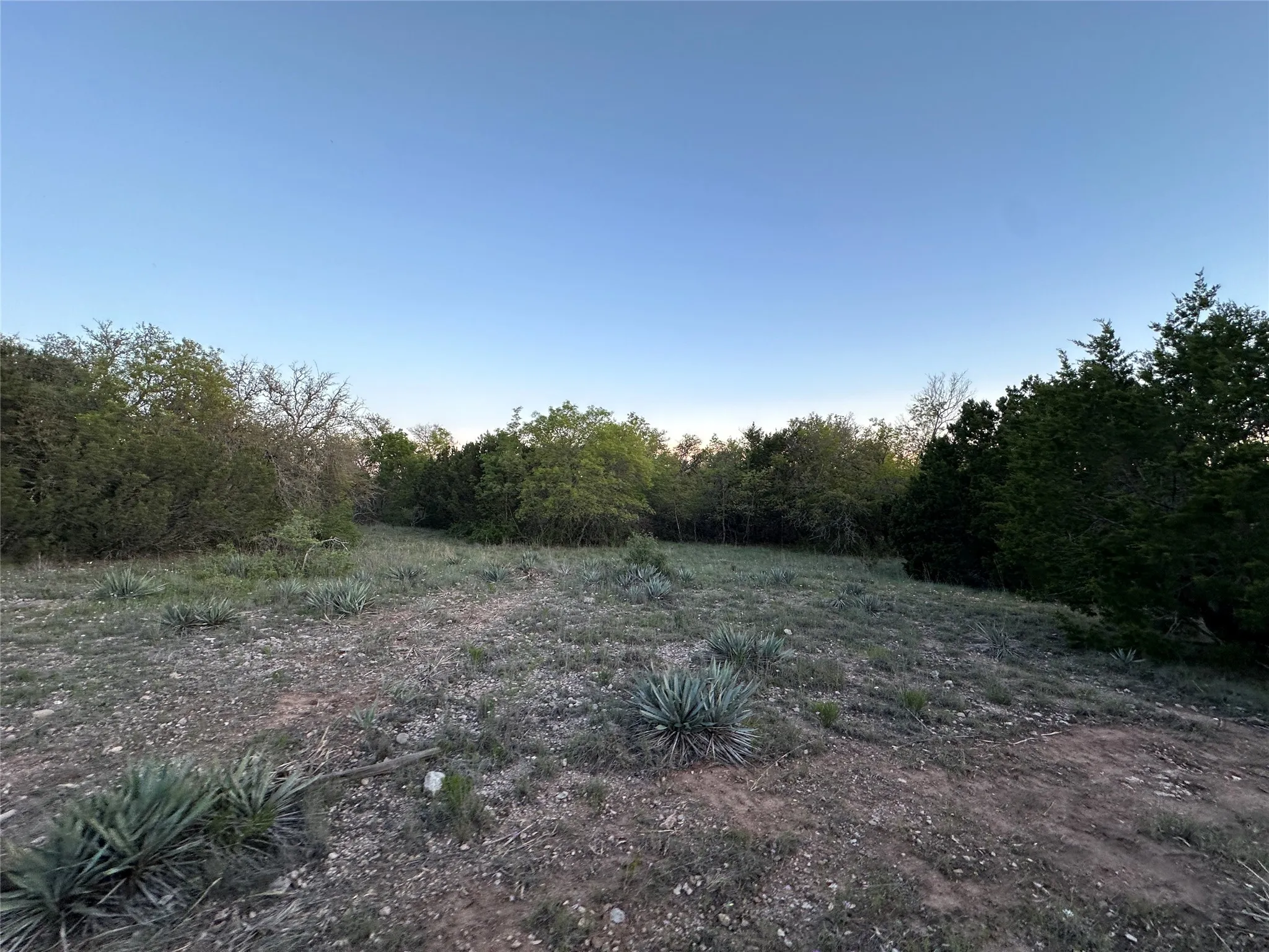 Ranch For Sale in Mills County , 11 County Road 191, Mullin, Texas 76864, 0, 0, Garage spaces, 0 Sqft, built in 0, mls#21365459, Real Estate Agent in Mullin, Homes For Sale in Mills county, Homes For Sale in Mullin, Realtor in Mullin Texas, Real Estate Brokerage Independent Realty Texas, Luminita Cordes Realtor