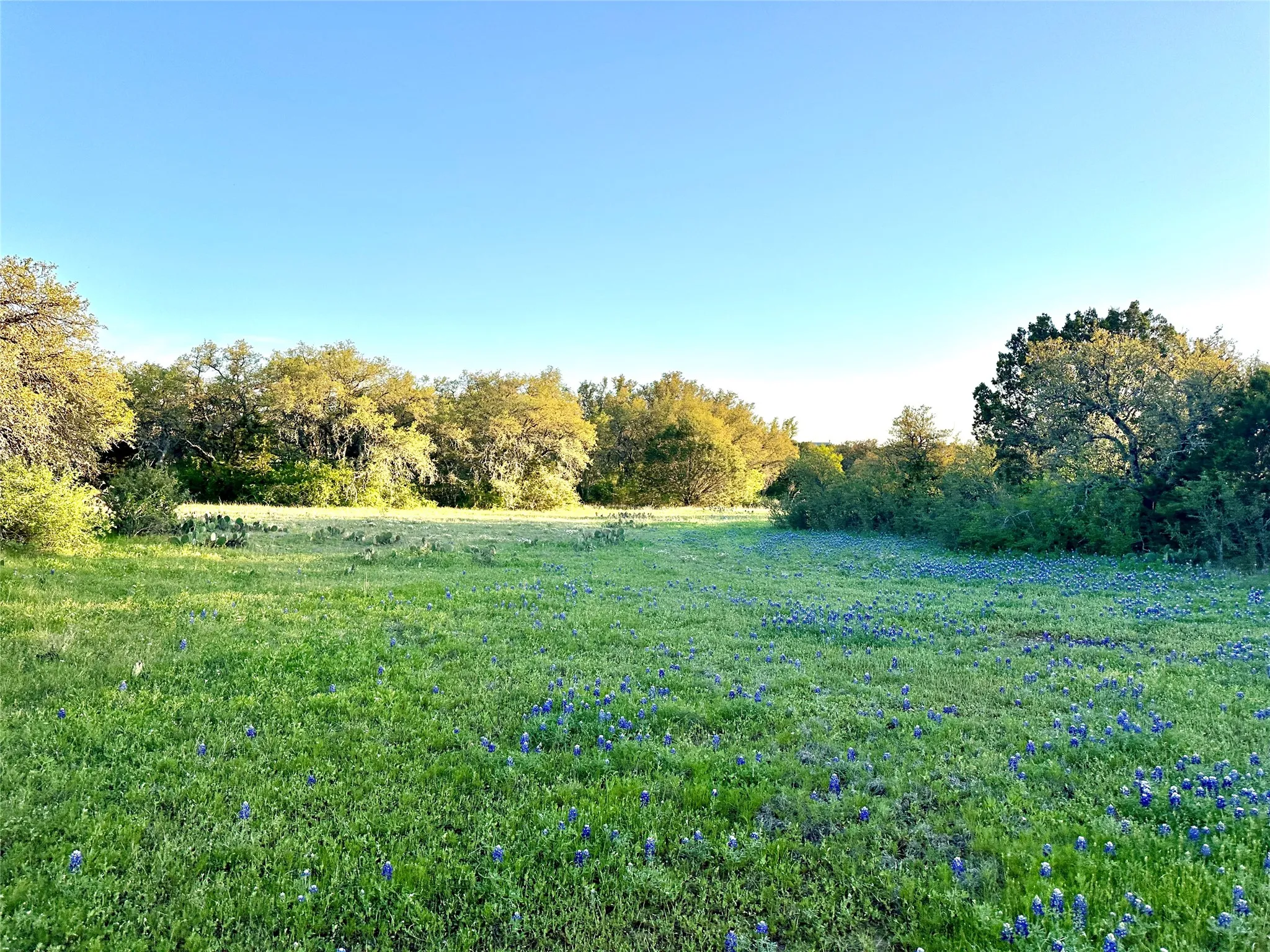 Ranch For Sale in Mills County , 11 County Road 191, Mullin, Texas 76864, 0, 0, Garage spaces, 0 Sqft, built in 0, mls#21365459, Real Estate Agent in Mullin, Homes For Sale in Mills county, Homes For Sale in Mullin, Realtor in Mullin Texas, Real Estate Brokerage Independent Realty Texas, Luminita Cordes Realtor