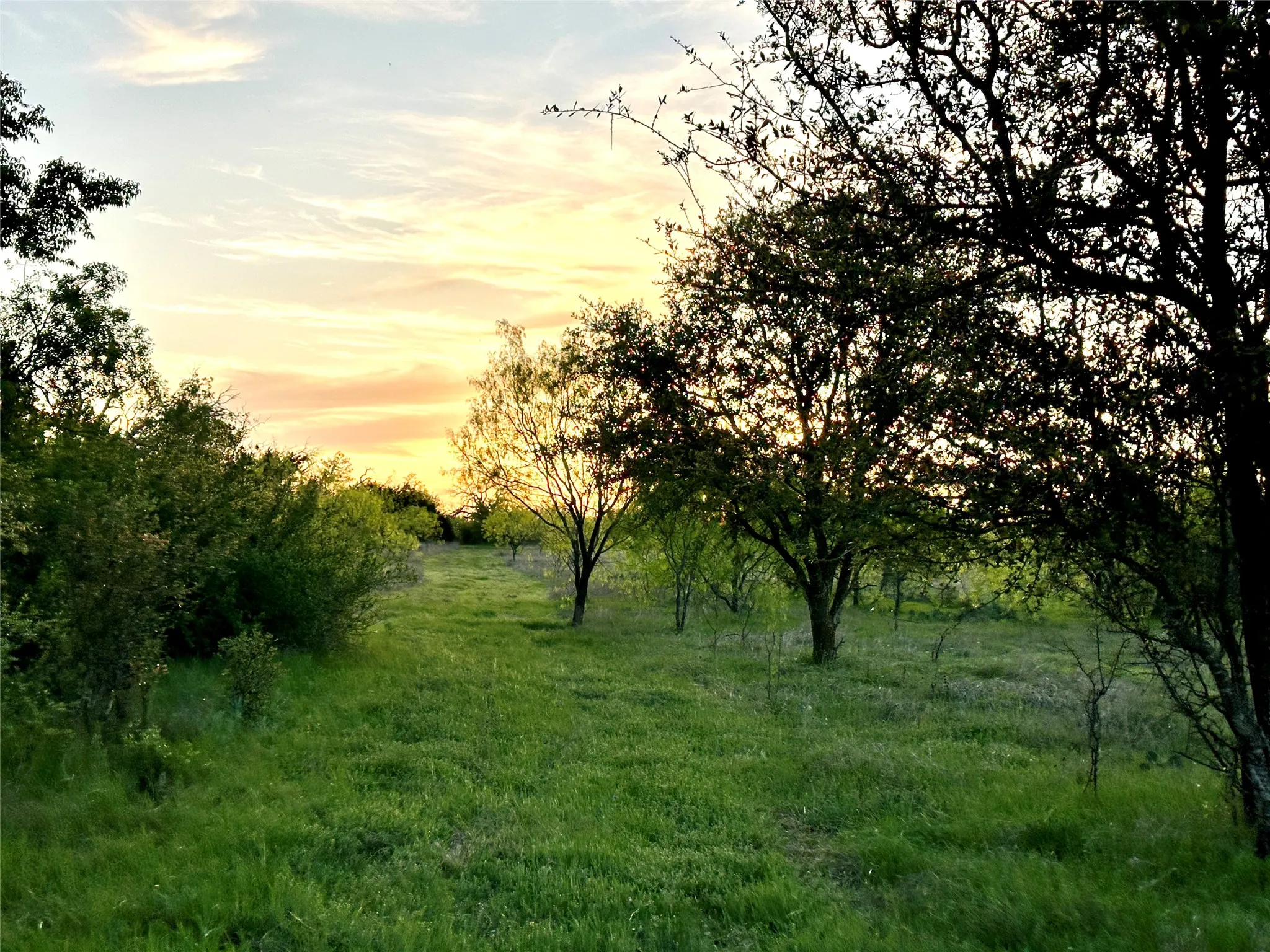 Ranch For Sale in Mills County , 11 County Road 191, Mullin, Texas 76864, 0, 0, Garage spaces, 0 Sqft, built in 0, mls#21365459, Real Estate Agent in Mullin, Homes For Sale in Mills county, Homes For Sale in Mullin, Realtor in Mullin Texas, Real Estate Brokerage Independent Realty Texas, Luminita Cordes Realtor