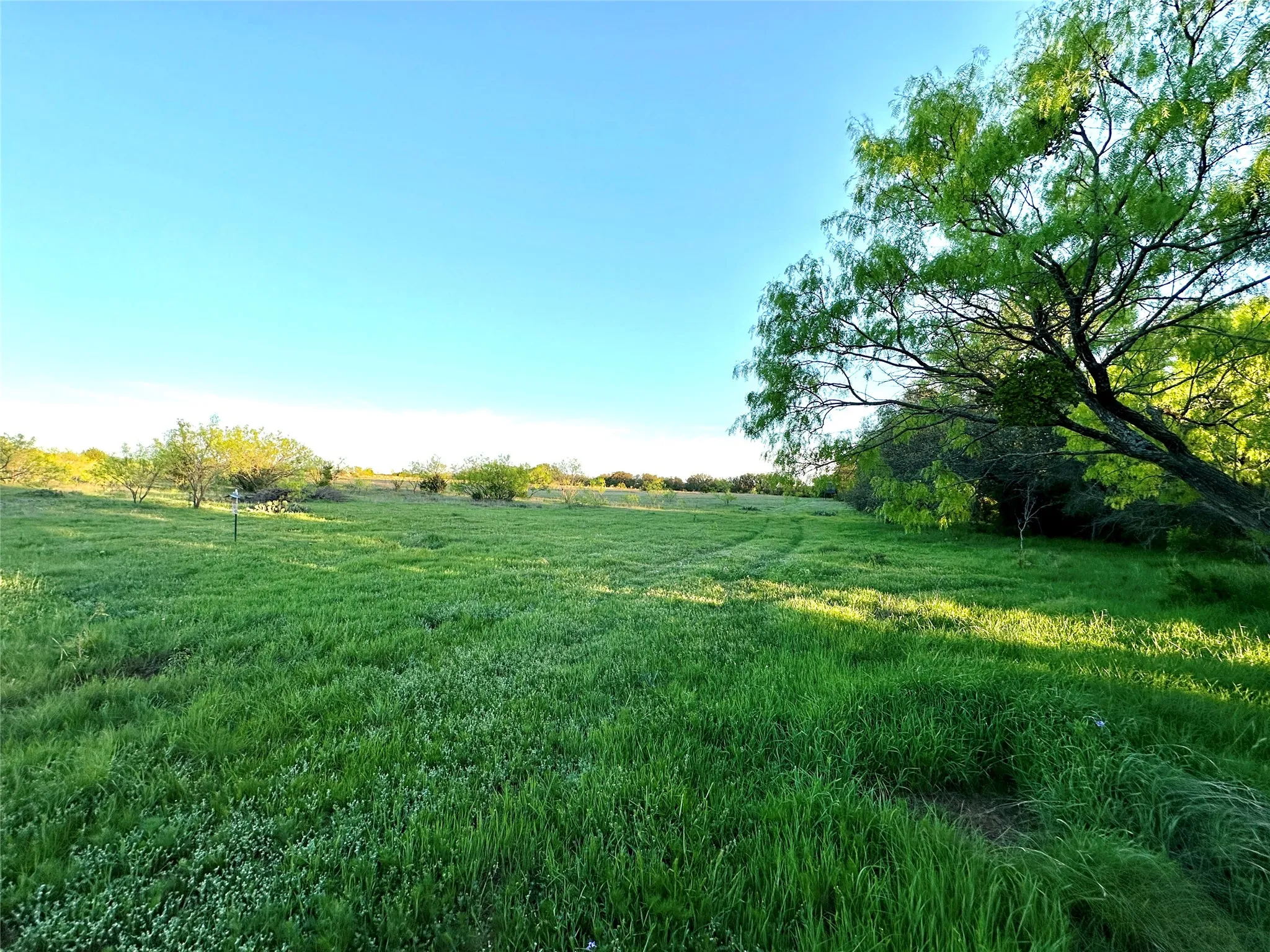 Ranch For Sale in Mills County , 11 County Road 191, Mullin, Texas 76864, 0, 0, Garage spaces, 0 Sqft, built in 0, mls#21365459, Real Estate Agent in Mullin, Homes For Sale in Mills county, Homes For Sale in Mullin, Realtor in Mullin Texas, Real Estate Brokerage Independent Realty Texas, Luminita Cordes Realtor